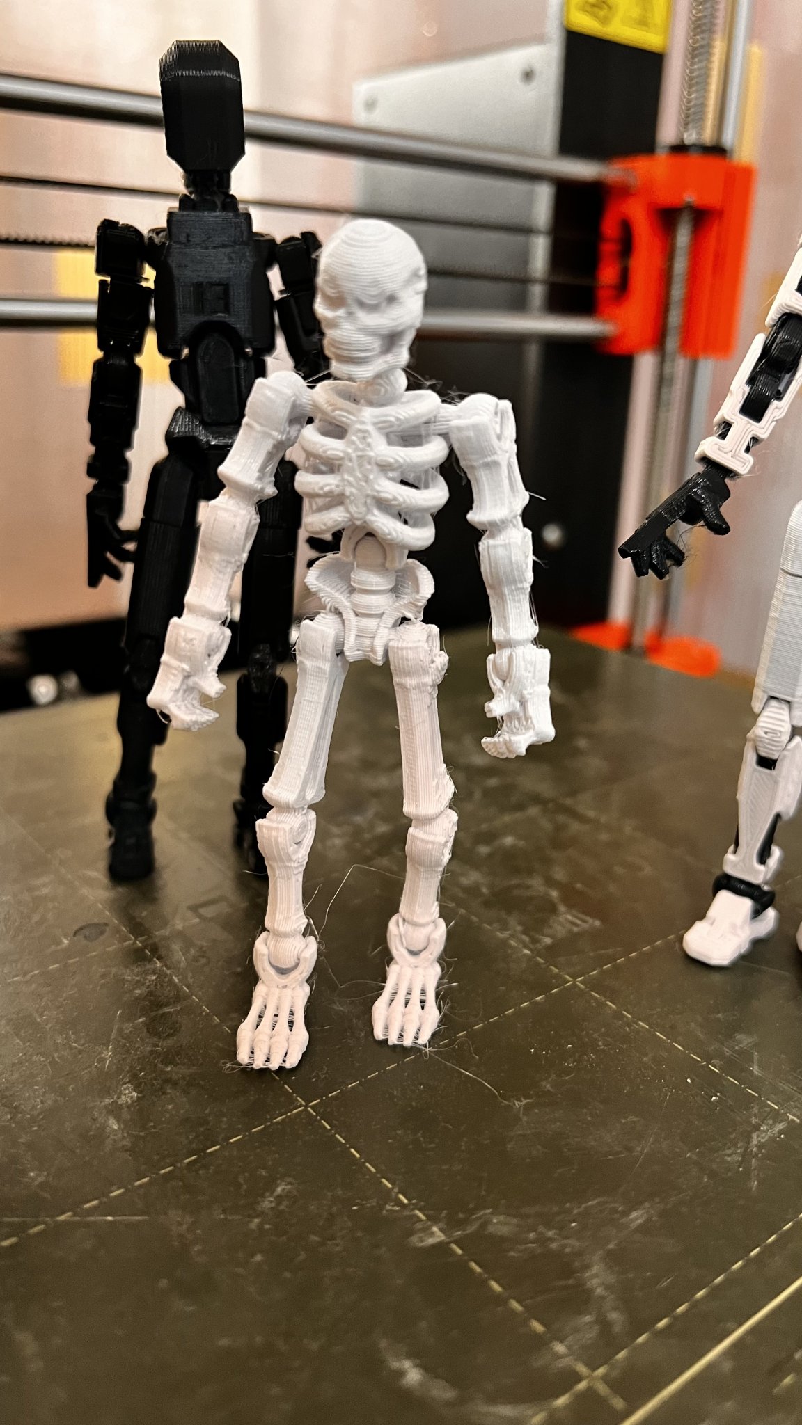 Mô hình bộ xương "snicket"