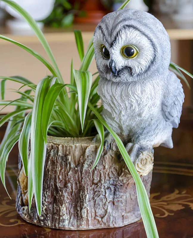 Owl themed planter/desk organizer/item holder