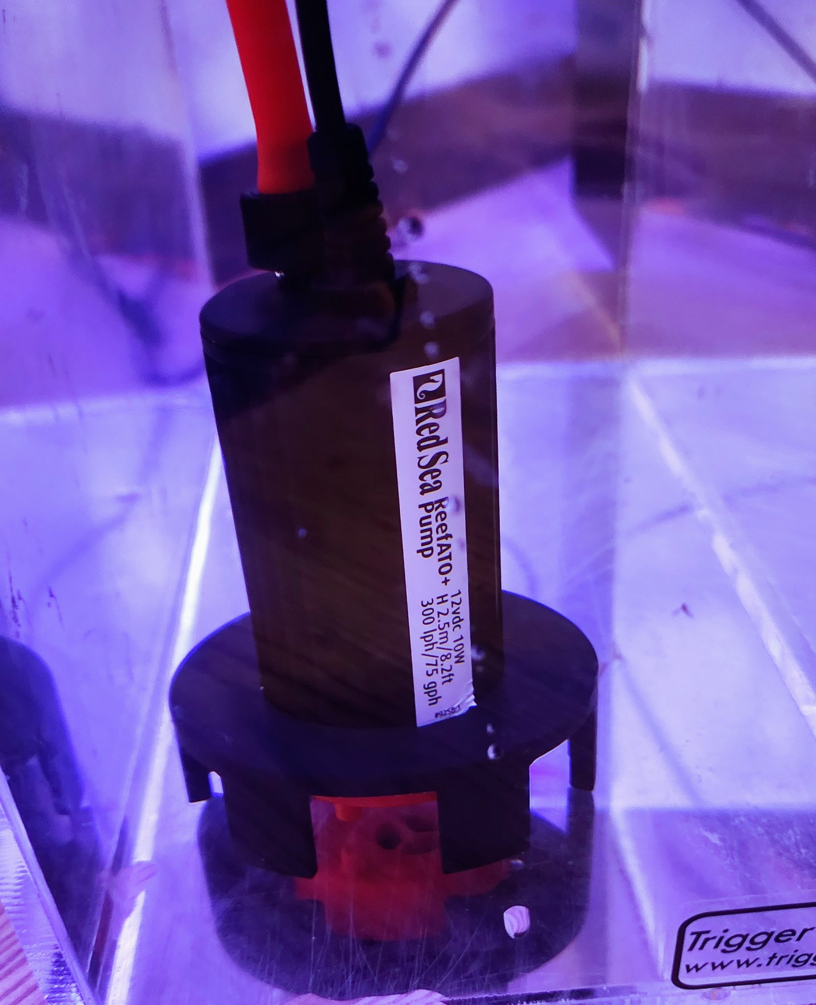 Đế Giữ Bơm ATO Red Sea