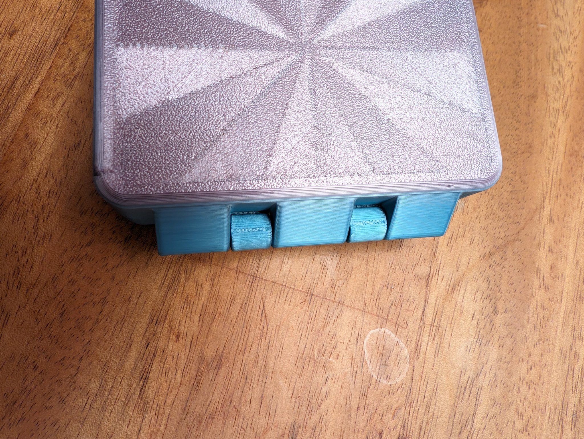 Hinged Retainer/Invisalign/Denture/Mouthguard Case