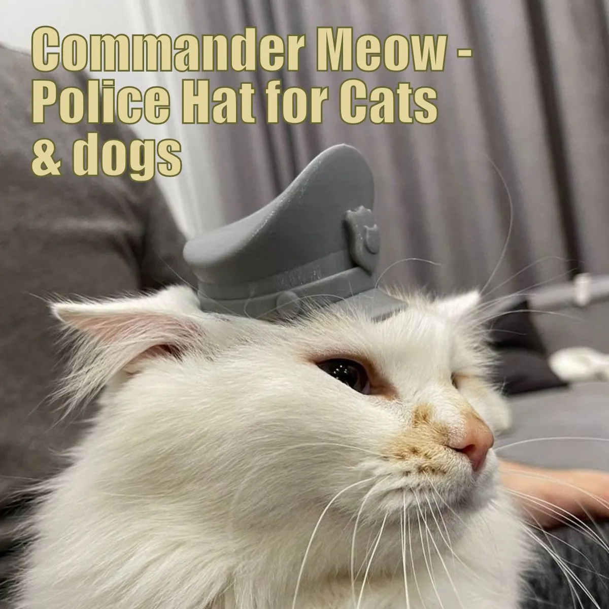 Tiêu đề Mũ cảnh sát cho thú cưng Tóm tắt Gặp gỡ Commander