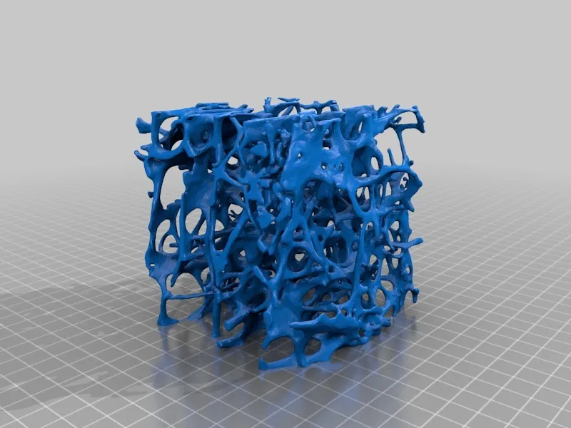 Mô hình xương bè loãng xương kèm vít xương