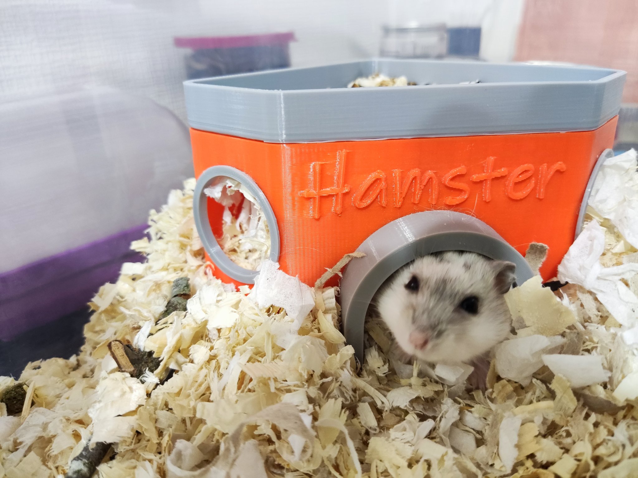 Nhà cho Hamster