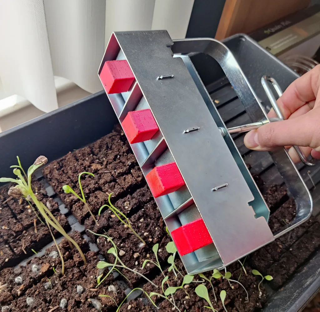 Khuôn Trồng Đất