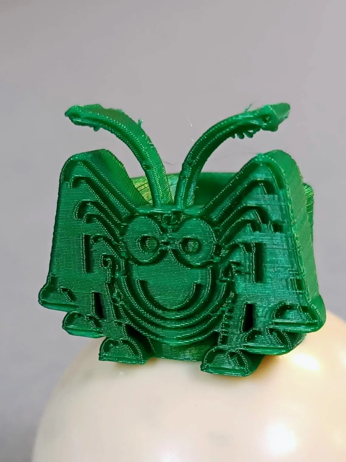 Tiêu đề Hướng đạo của Pukeena châu chấu của rừng Tóm tắ