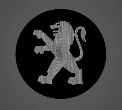 Chụp Mâm Xe Peugeot 206