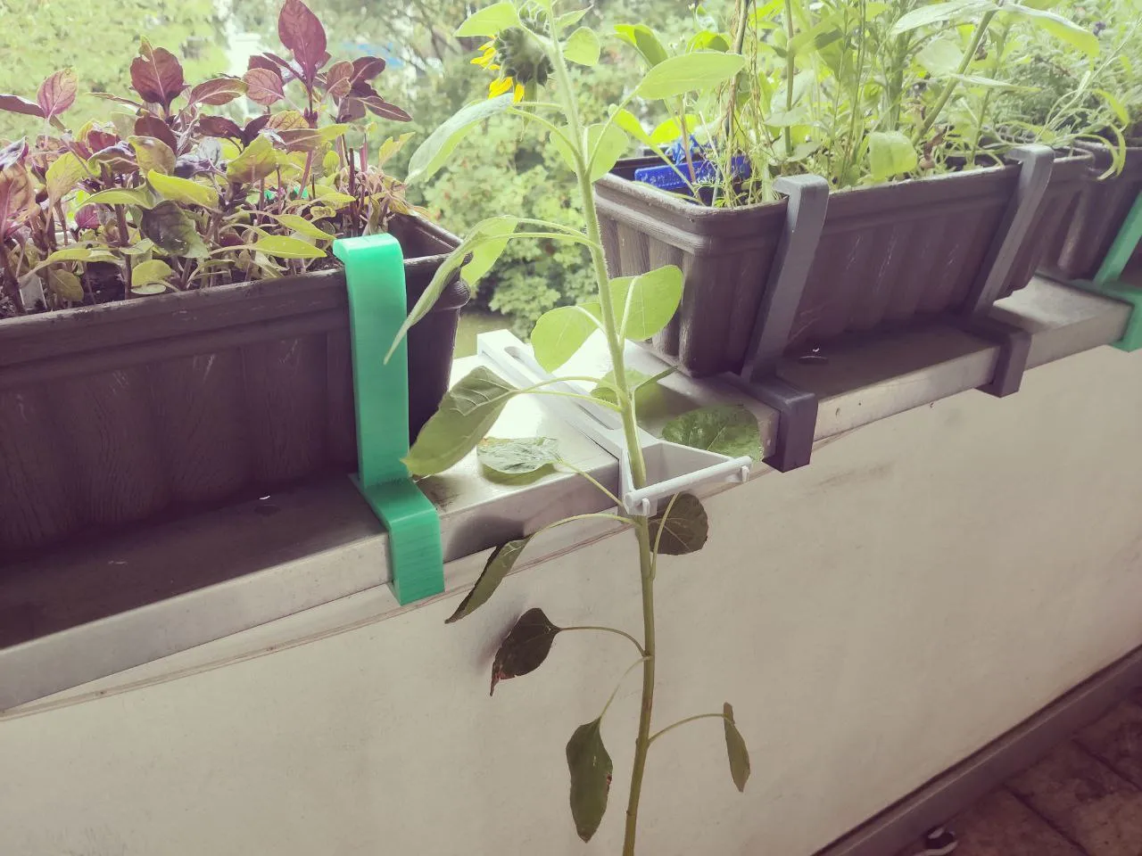 Tiêu đề Giá treo ban công hoa hướng dương Tóm tắt giúp một b