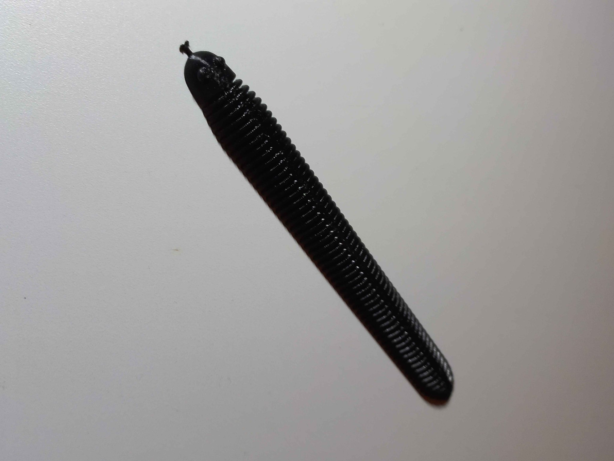 Tiêu đề TPU rắn linh hoạt tham số Tóm tắt Một thiết kế c