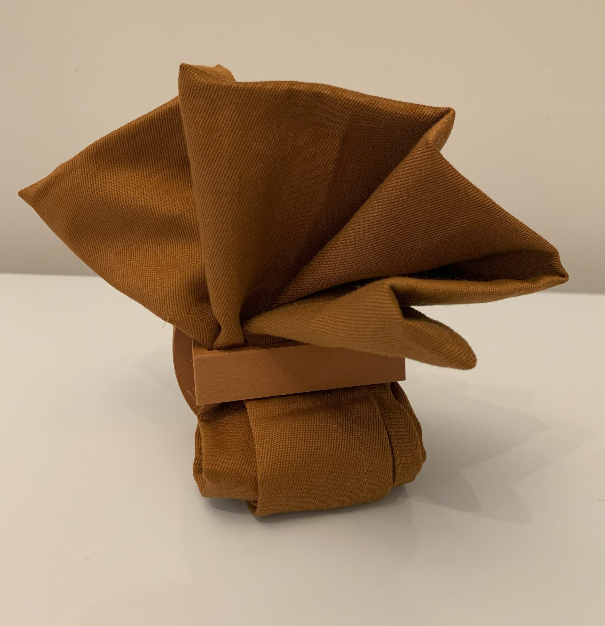 Tiêu đề Người giữ khăn ăn Thổ Nhĩ Kỳ Tóm tắt Một con gà