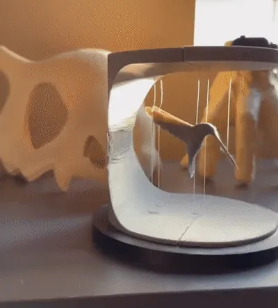 Tiêu đề Chim ruồi nổi Tóm tắt Chim ruồi lơ lửngnổi DANH M