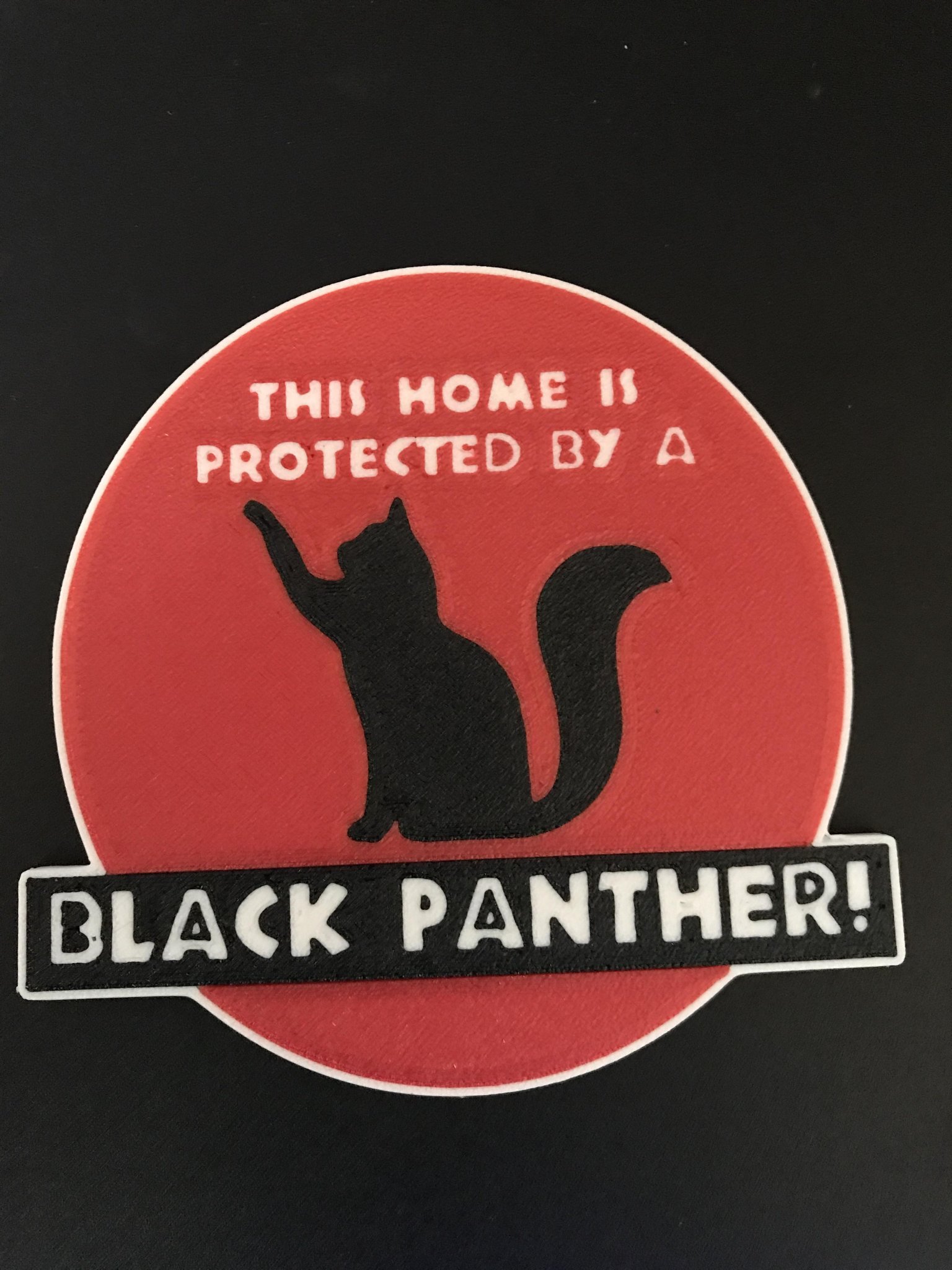 THIS HOME IS PROTECTED BY A BLACK PANTHER