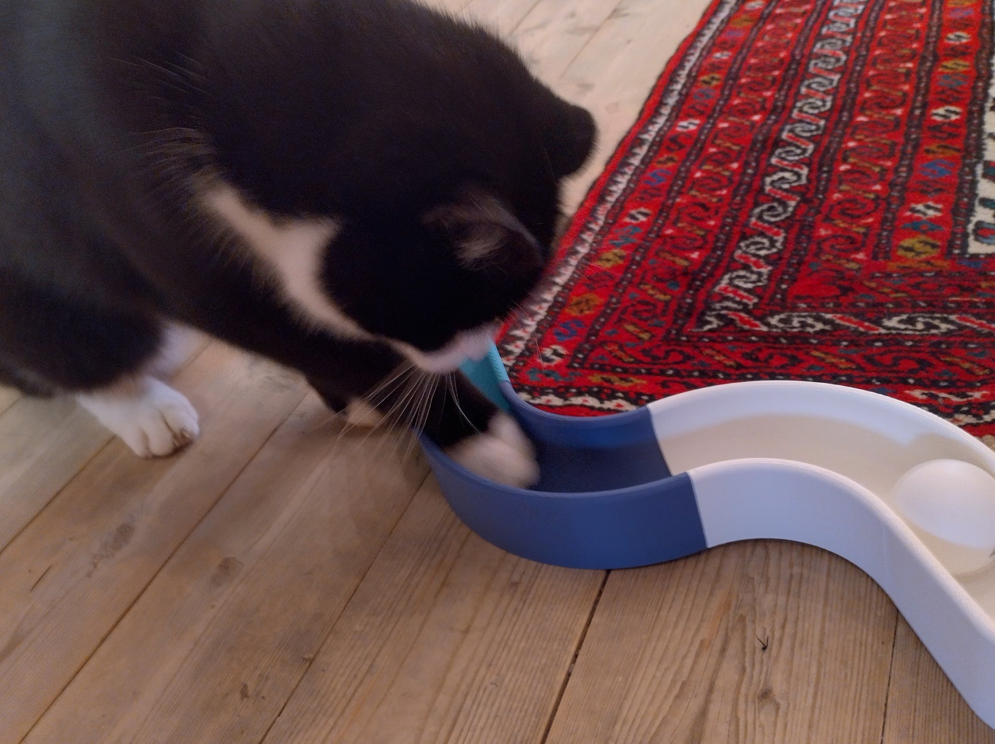 Tiêu đề Mô-đun đồ chơi đường ray cho mèo Tóm tắt Đồ chơ