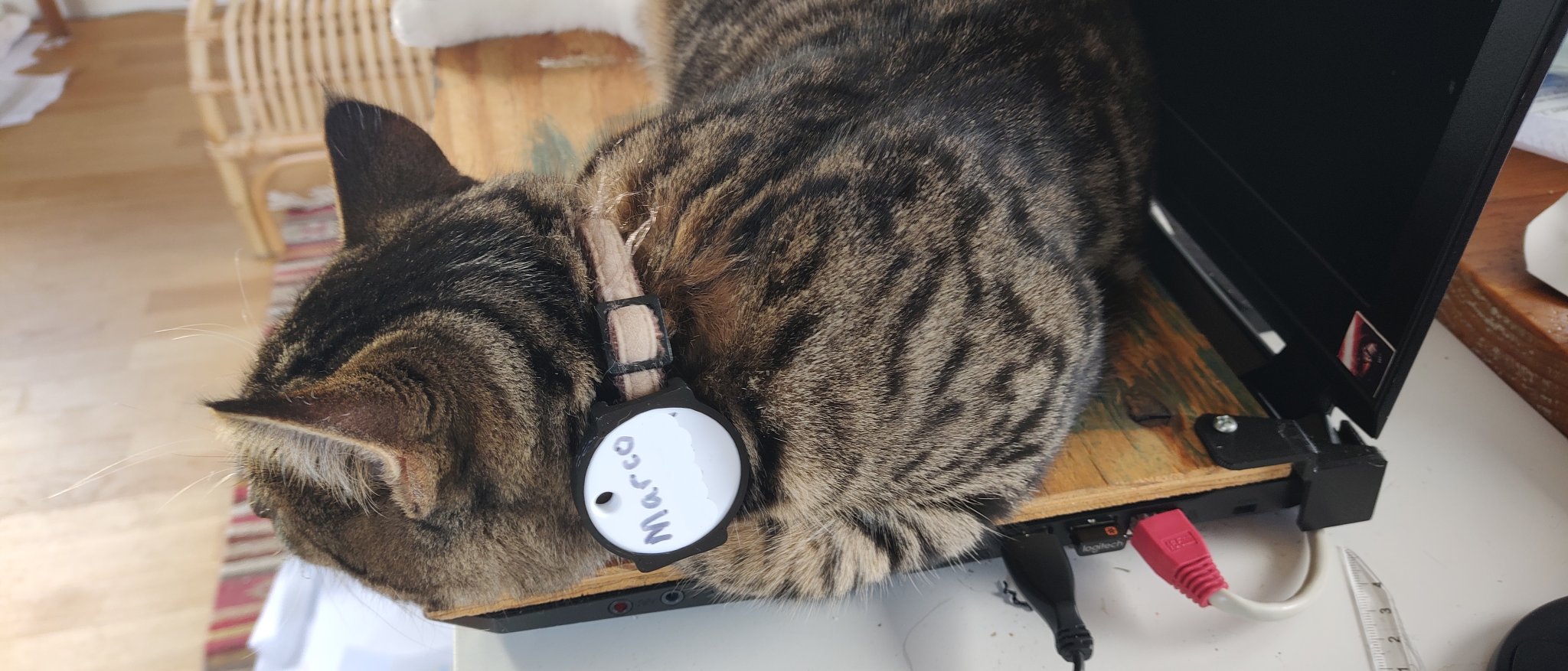 Tiêu đề Chipolo One giữ vòng cổ cho mèo Tóm tắt Tôi đã thiế