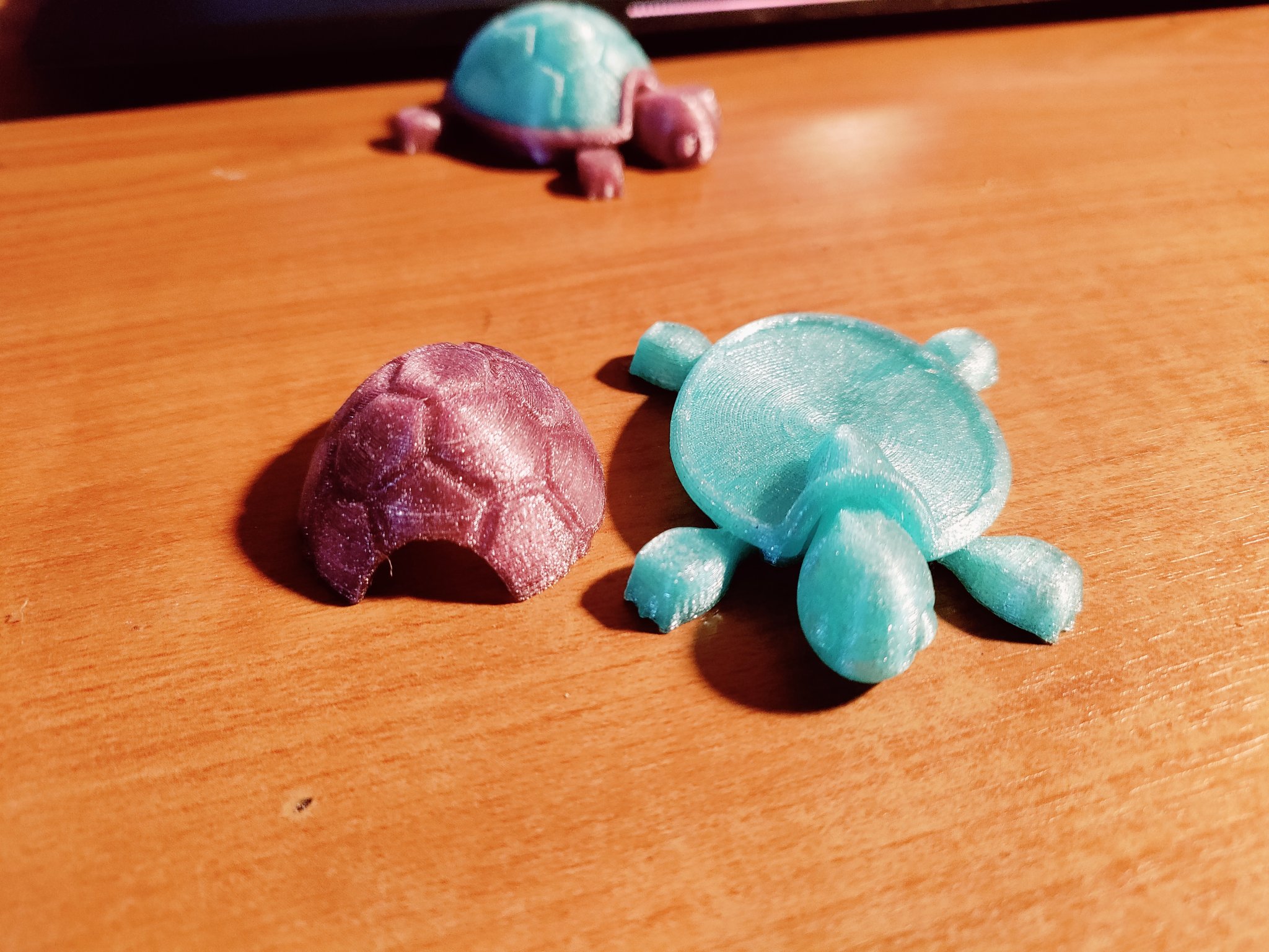 Tiêu đề Rùa có mai rời Tóm tắt Tôi đã phối lại chú rùa co