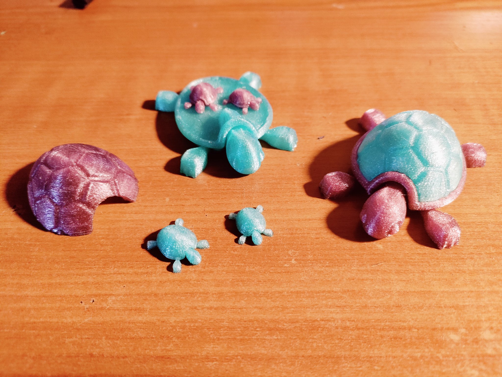 Tiêu đề Rùa có mai rời Tóm tắt Tôi đã phối lại chú rùa co