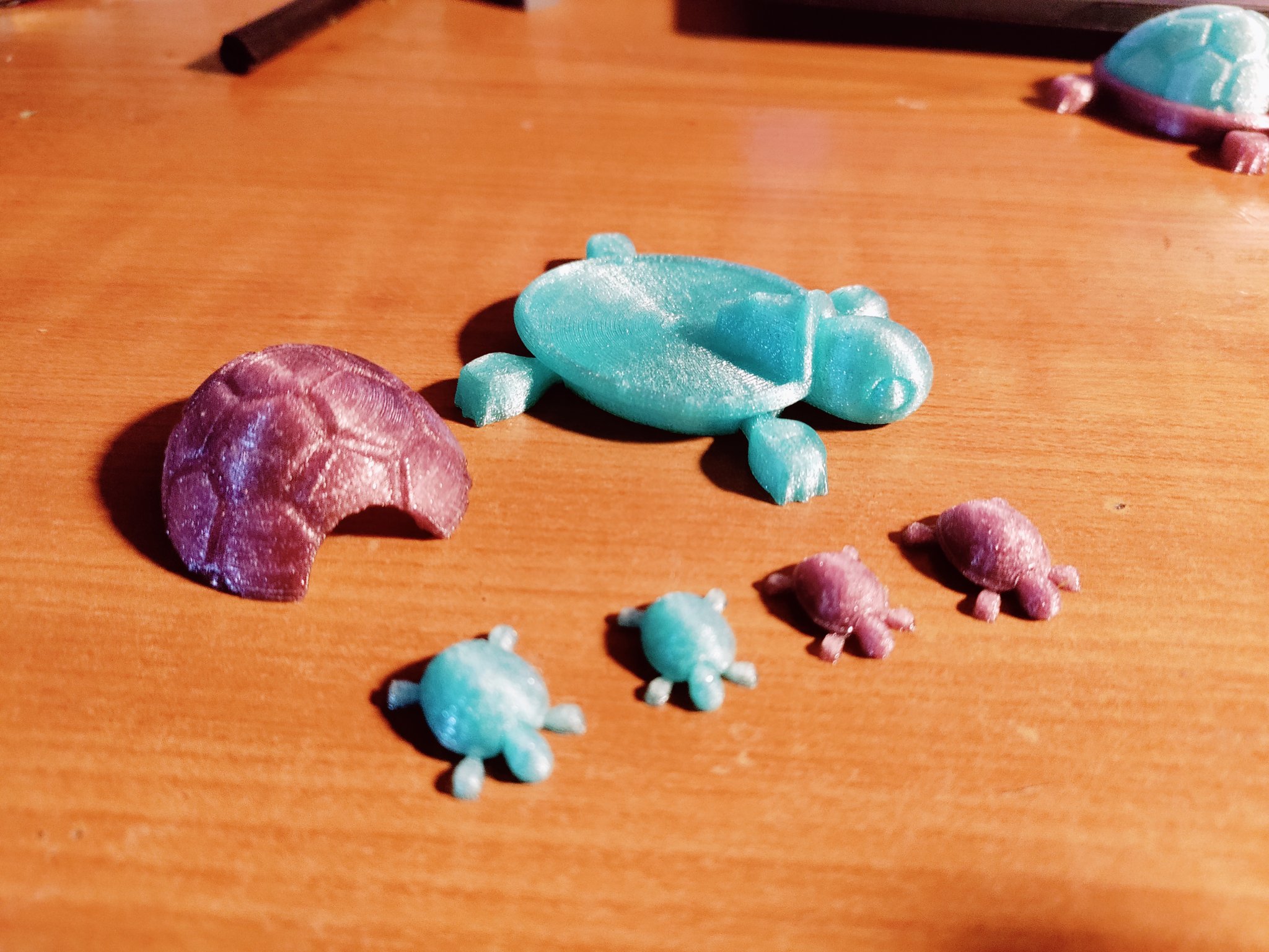 Tiêu đề Rùa có mai rời Tóm tắt Tôi đã phối lại chú rùa co