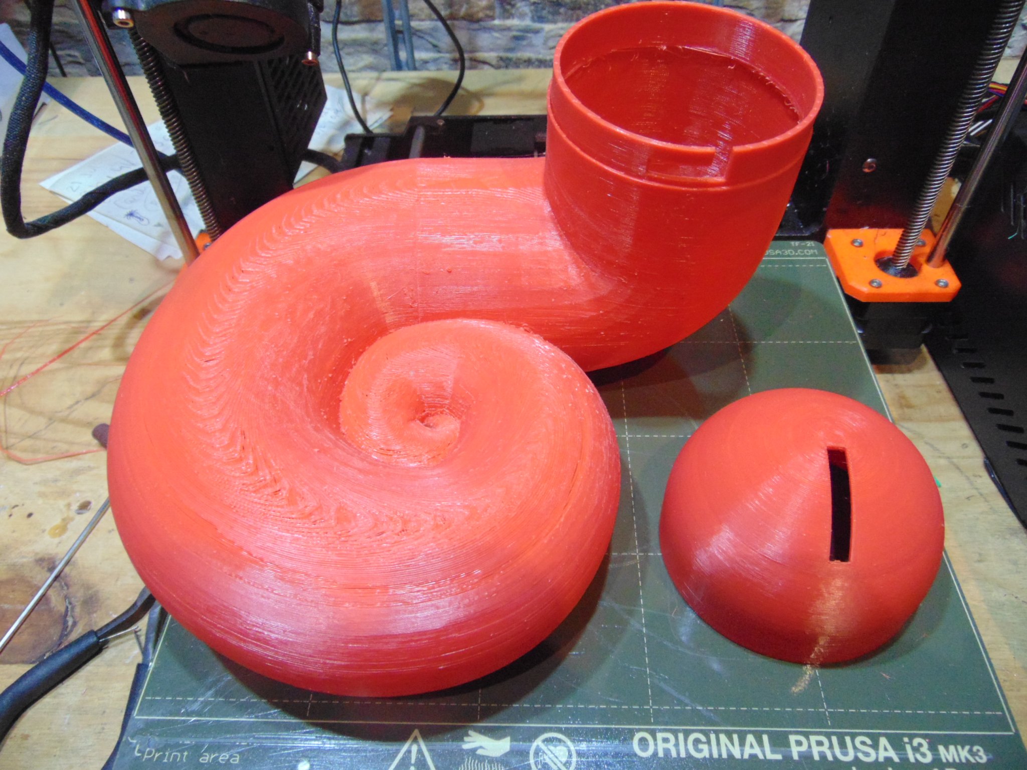 Heo đất "Burgaillo Caletero"