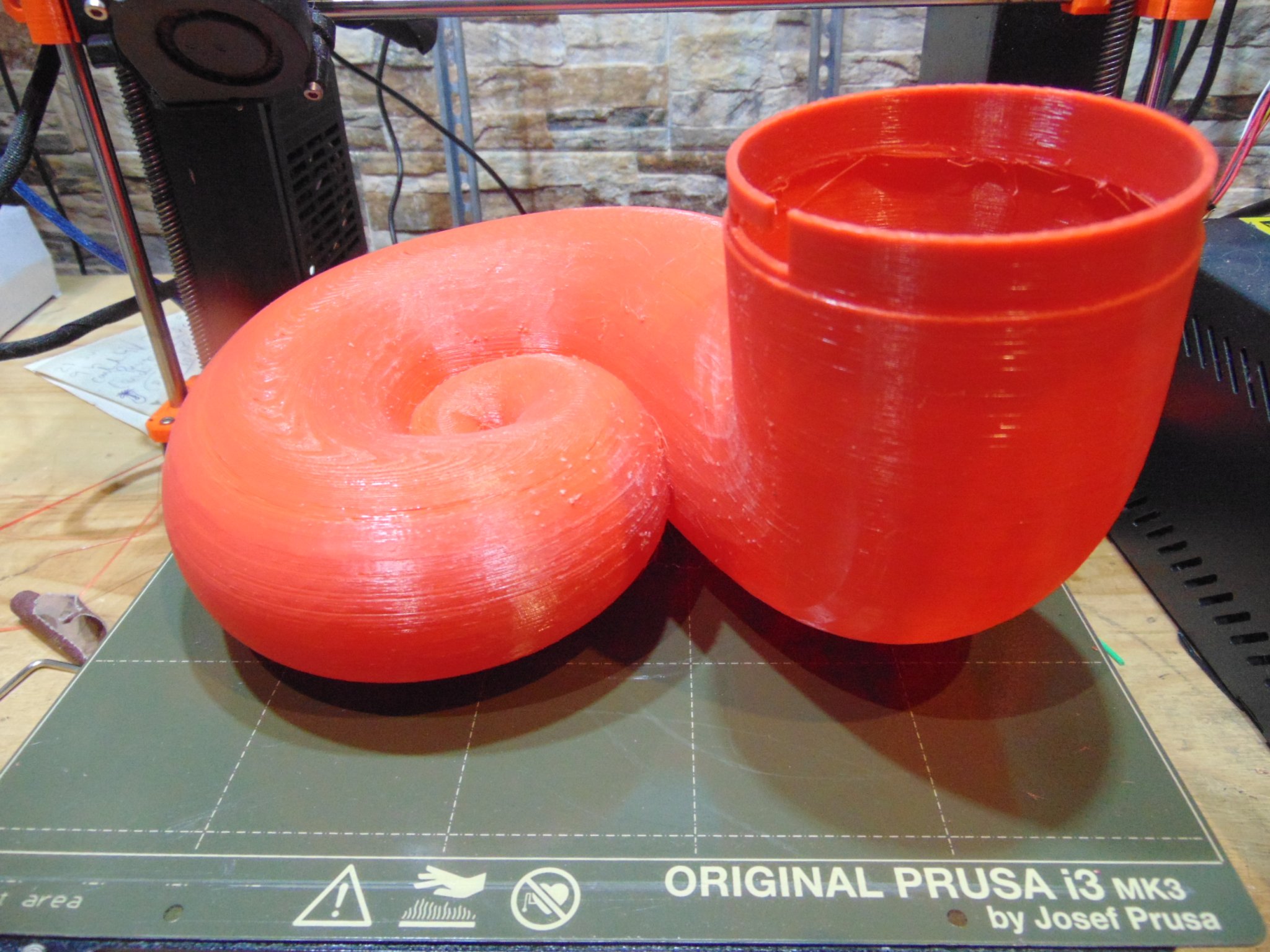 Heo đất "Burgaillo Caletero"