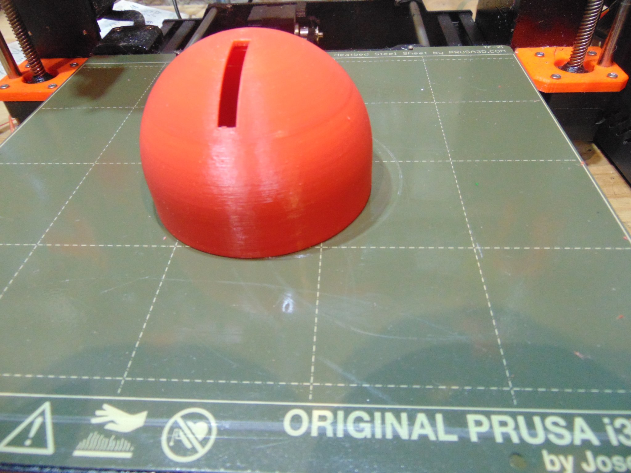 Heo đất "Burgaillo Caletero"