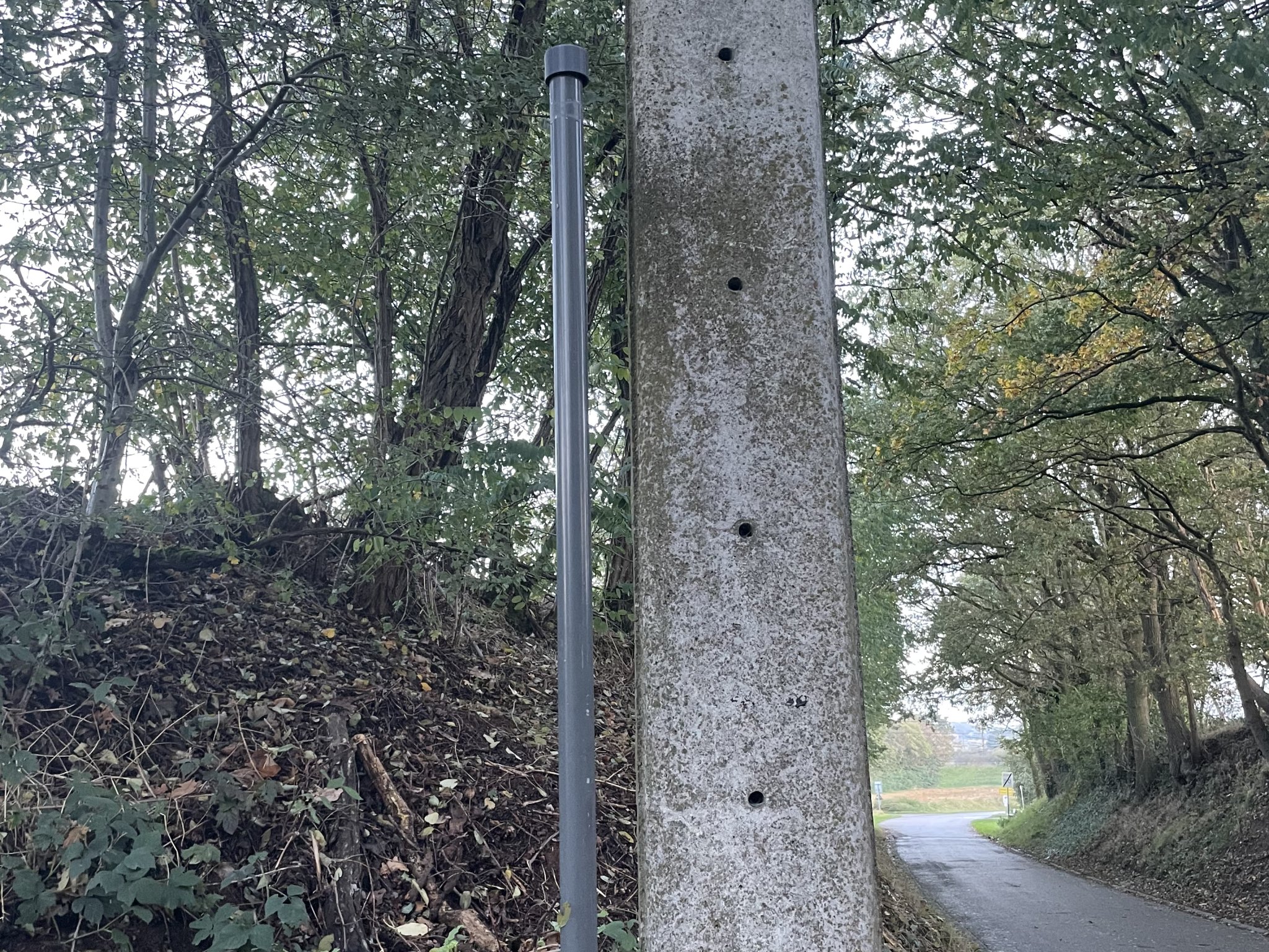 Tiêu đề Geocache container - Cột báo hiệu đường bộ Tóm tắt