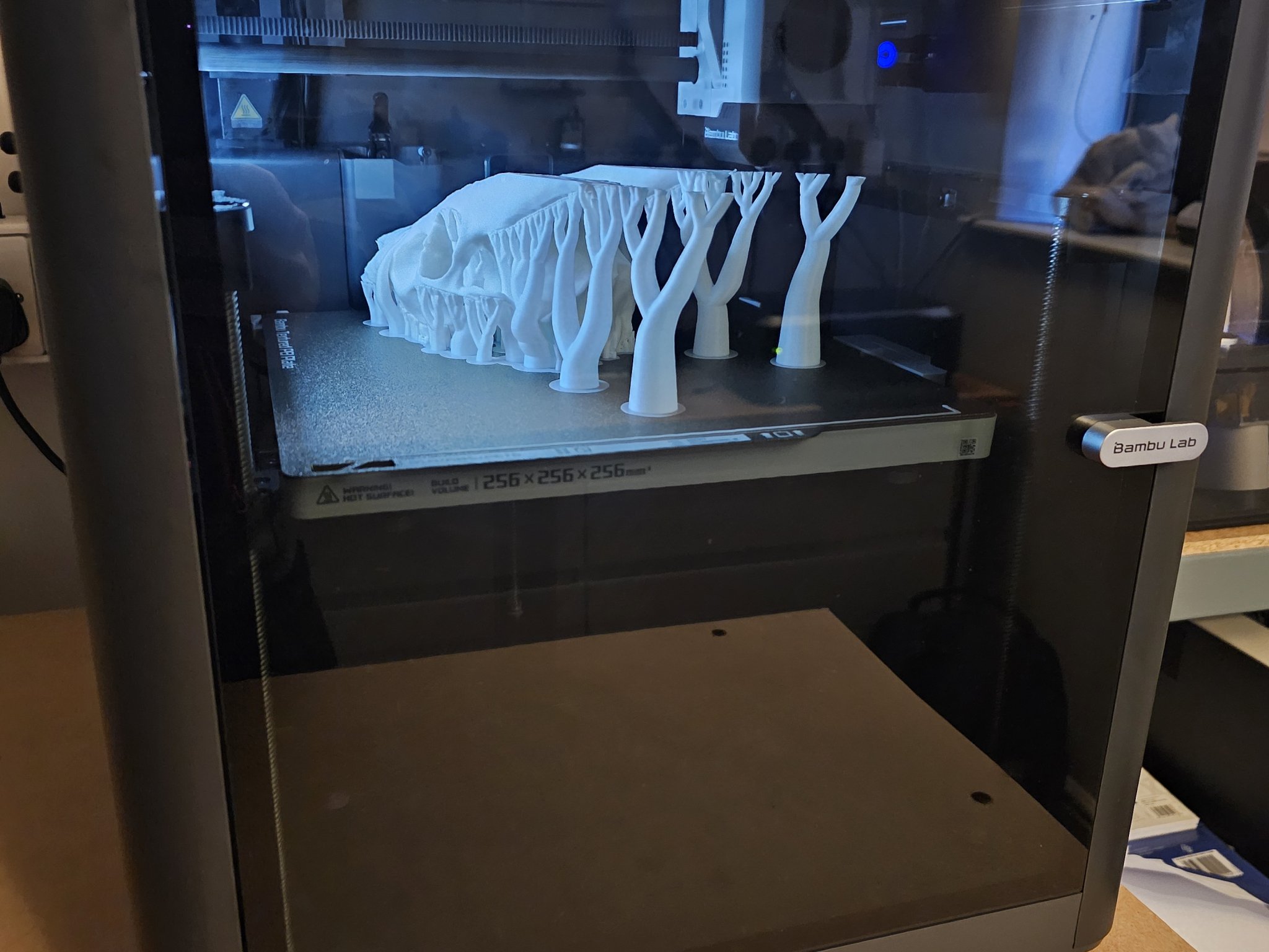 Đầu Lâu Động Vật Có Sừng/Gạc