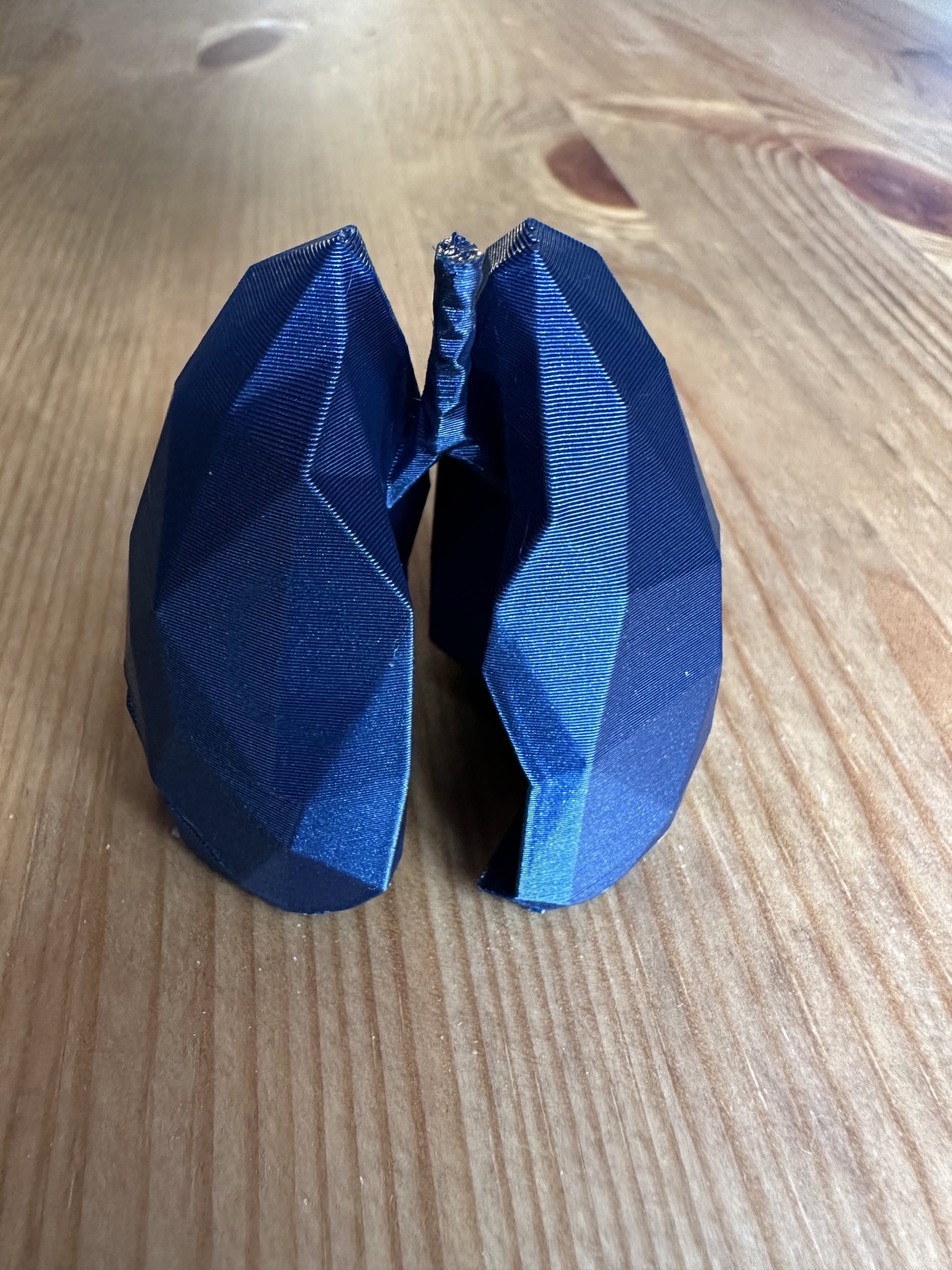 Phổi Tí Hon Theo Tỉ Lệ Giải Phẫu