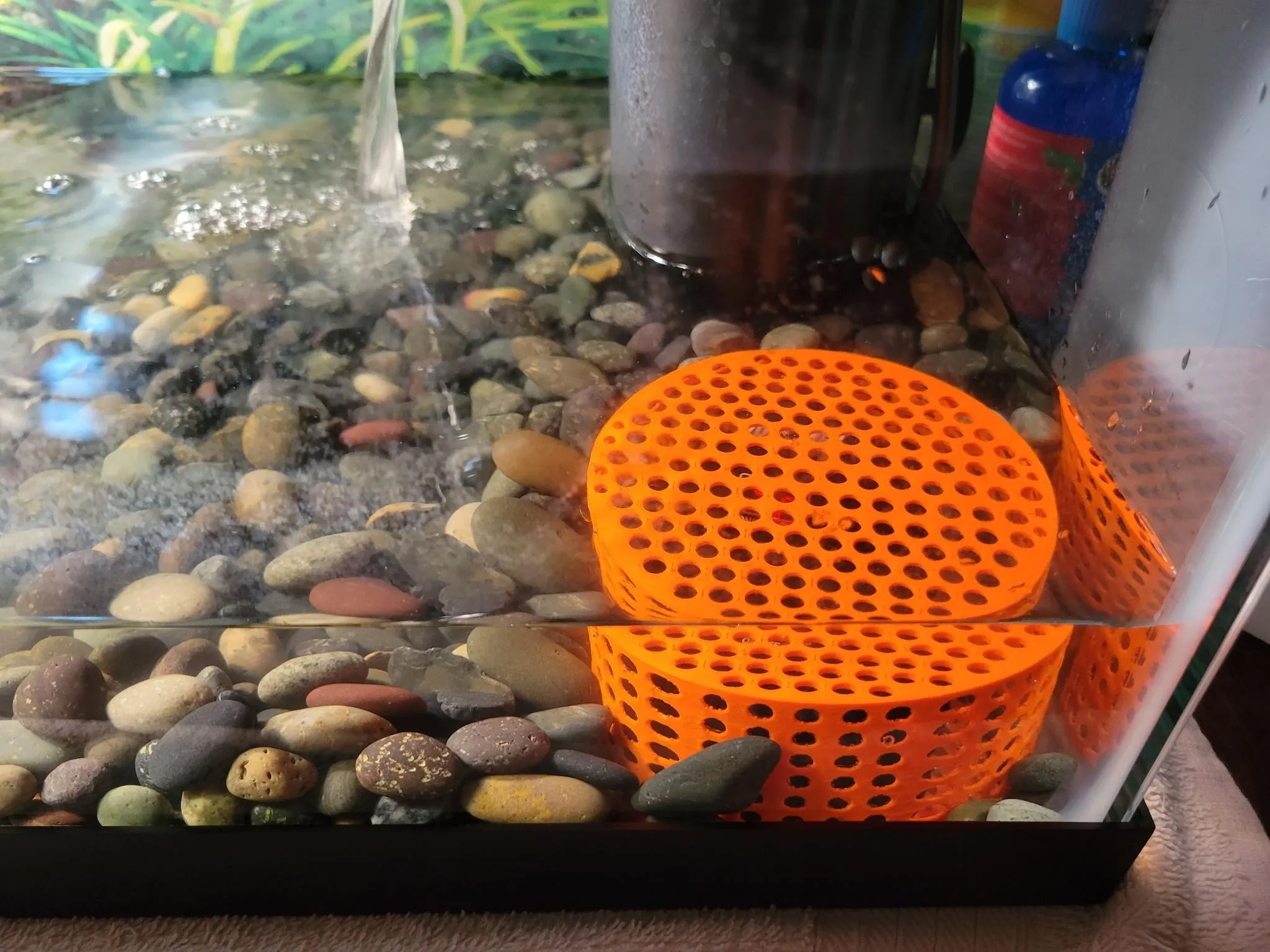 Vỏ Che Máy Sưởi Nước Cho Bể Cá/Bể Cạn