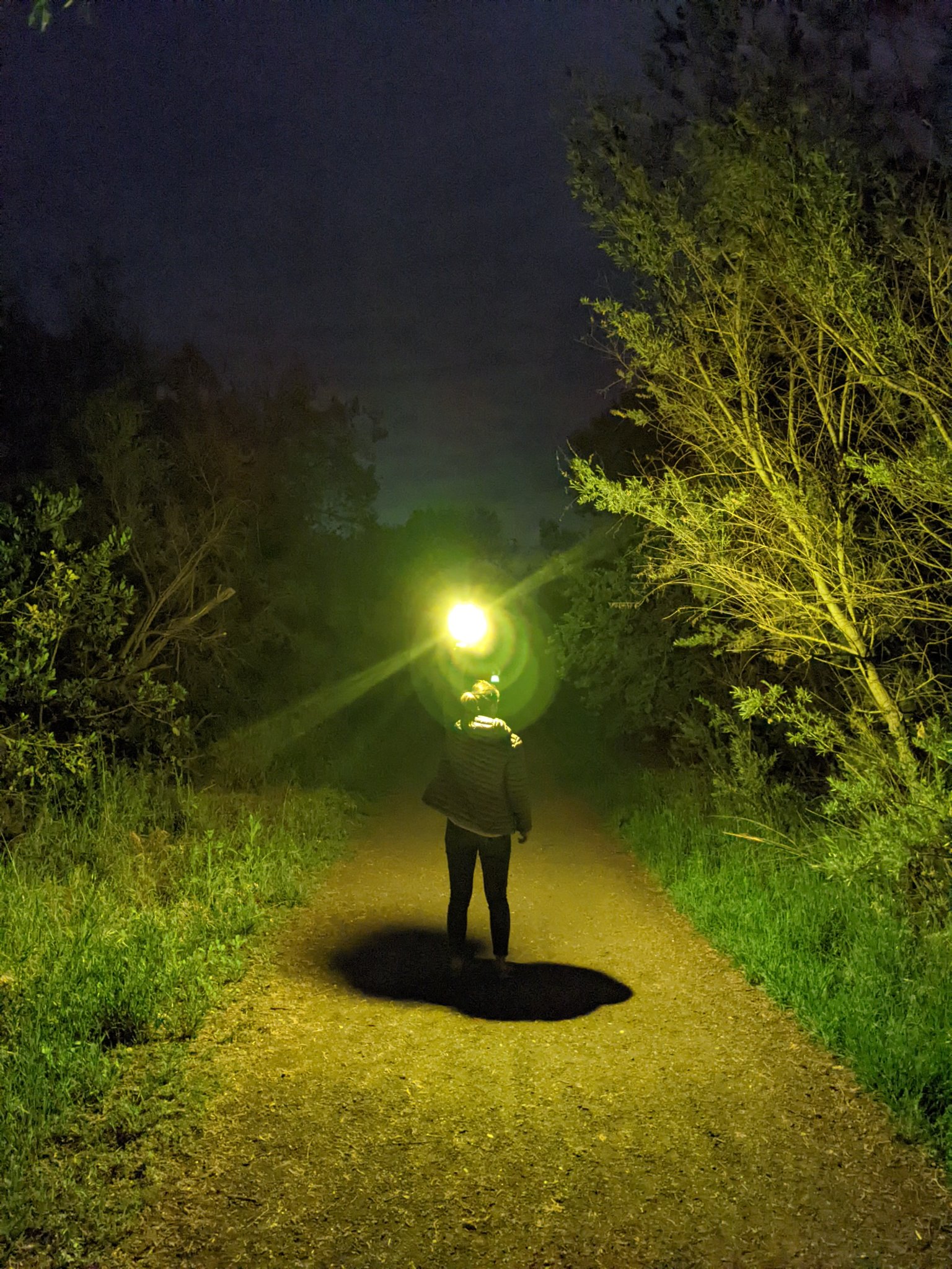 Tiêu đề Máy khuếch tán đèn pin Emisar D4V2 Tóm tắt Bộ khuếch