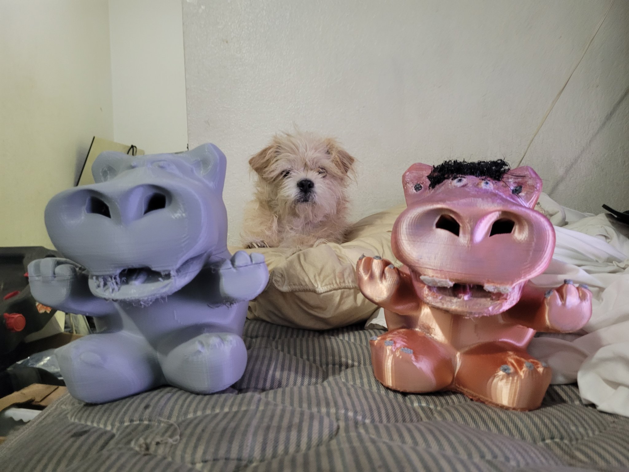 Heo Đất Hà Mã - Không Cần Hỗ Trợ