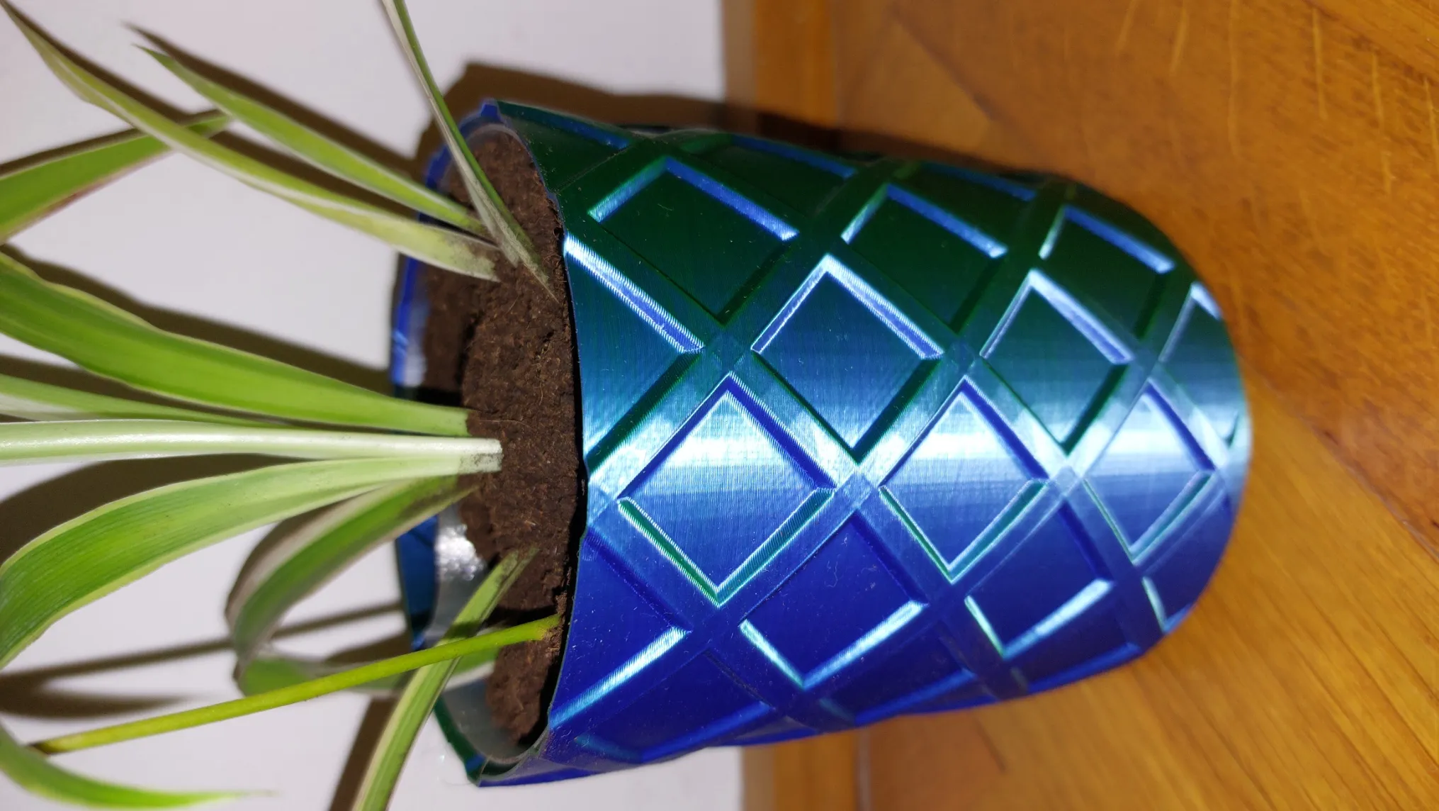 Tiêu đề Chế độ bình trồng cây tự tưới nước Tóm tắt C