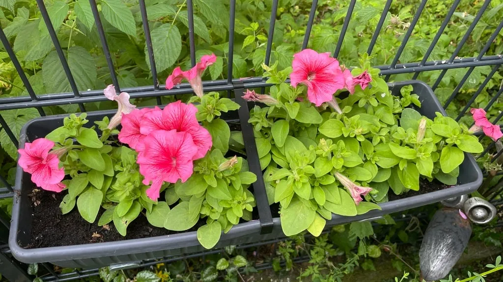 Tiêu đề Blumenkasten Kippschutz für Doppelstabmattenzaun Tóm tắt Kipp