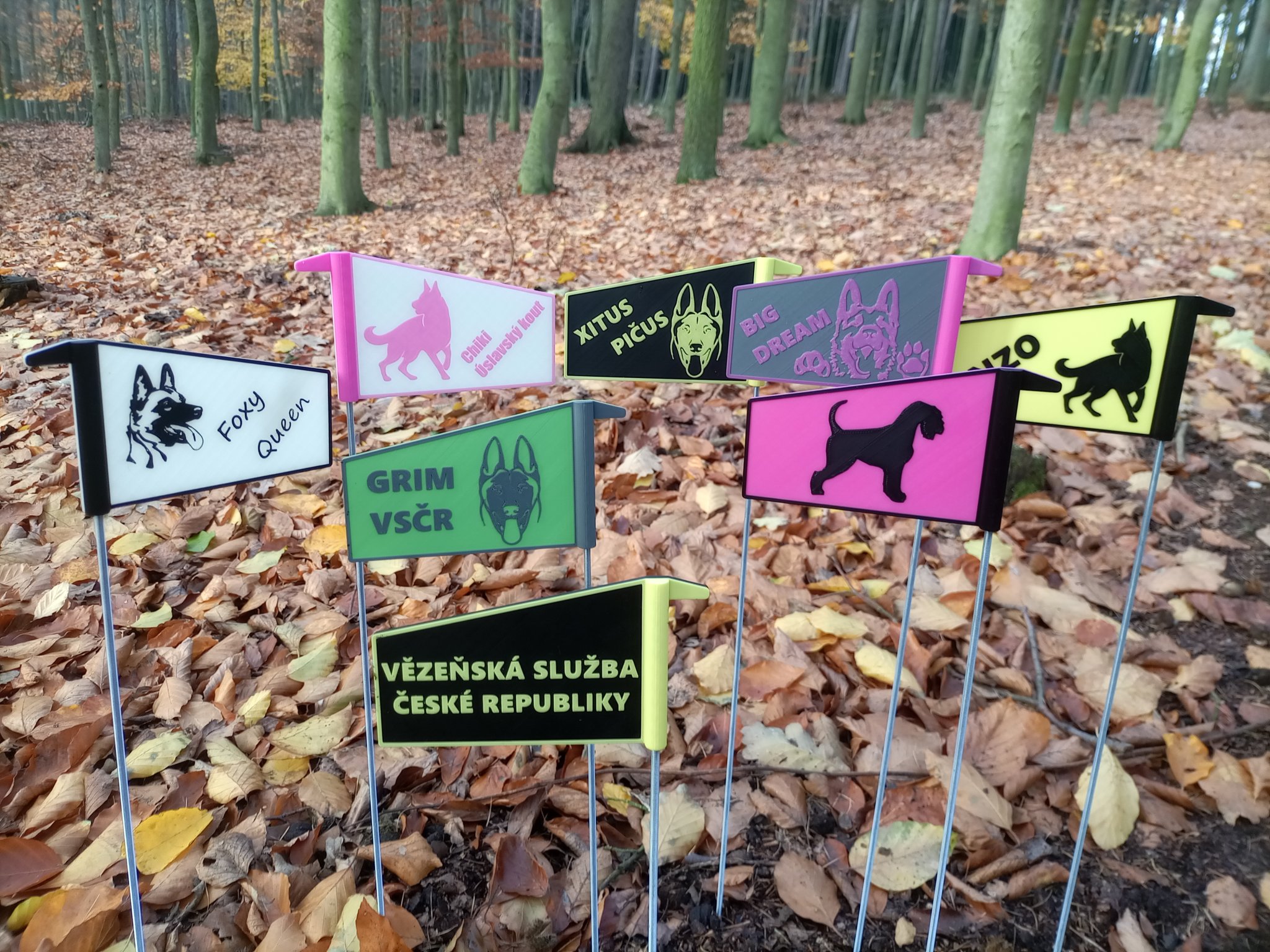 MÔ HÌNH THỂ THAO ĐUÔI CỜ CHO CHÓ