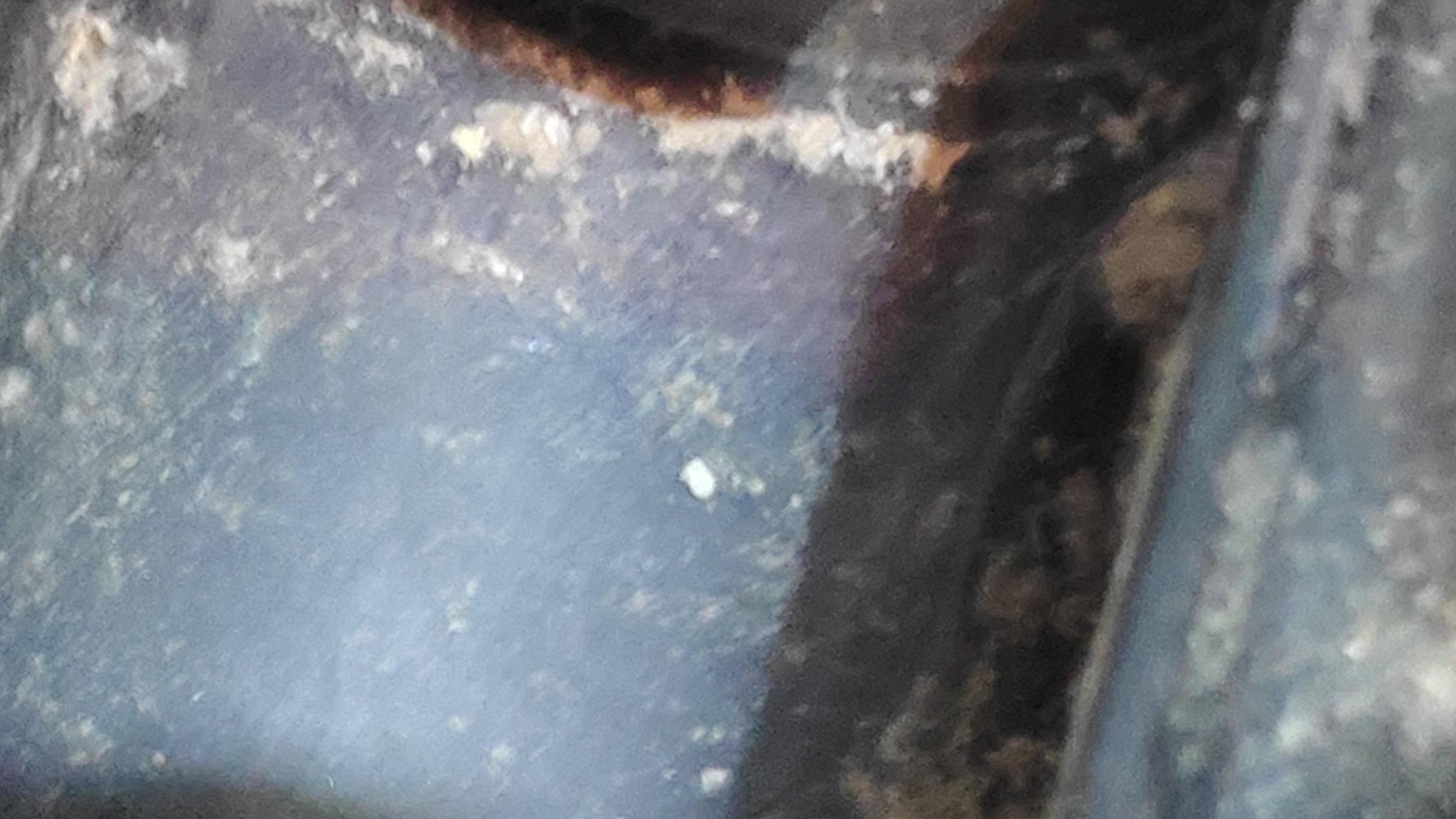 Philips proaqua electric brush hub