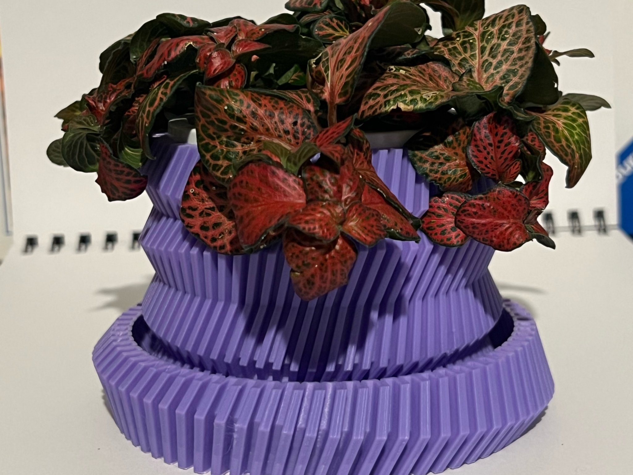 Spinning Gear Pot Tray