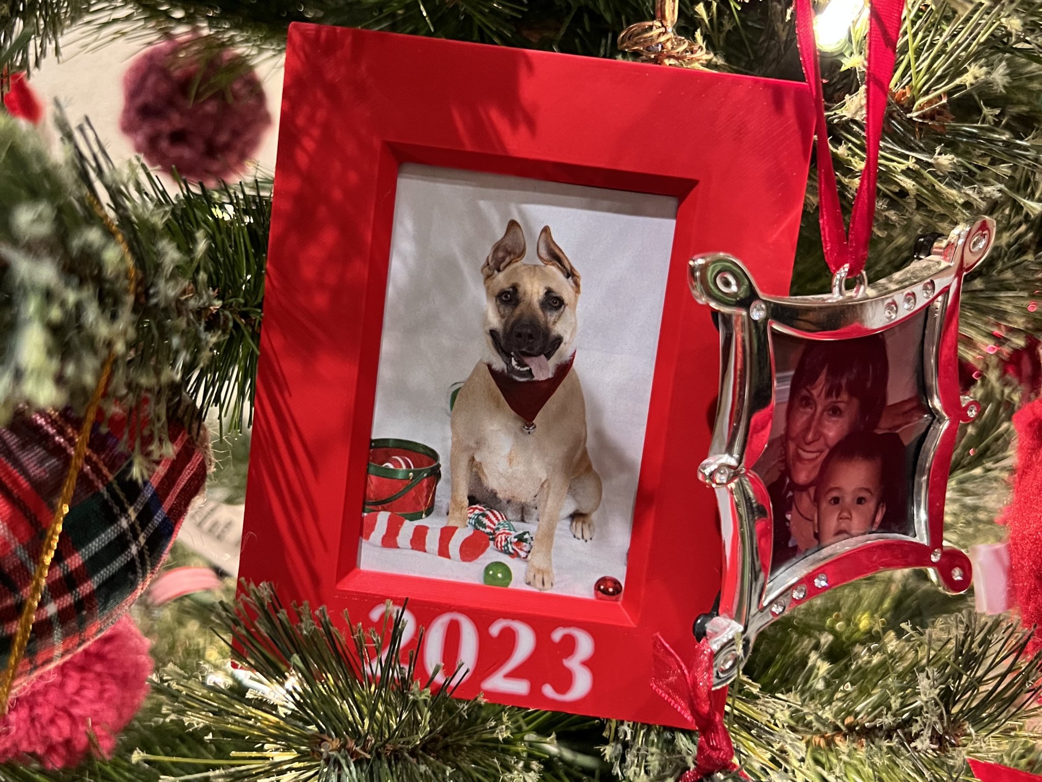 Tiêu đề Khung Ảnh cho Ảnh 2x3 Năm 2023 với các tùy chọn Cây