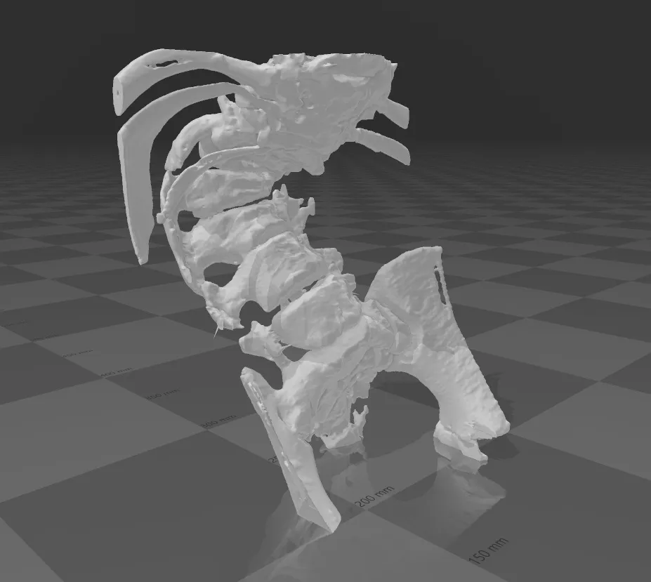 Tiêu đề Cột sống Tóm tắt kręgosłup Danh mục Học tập Cá