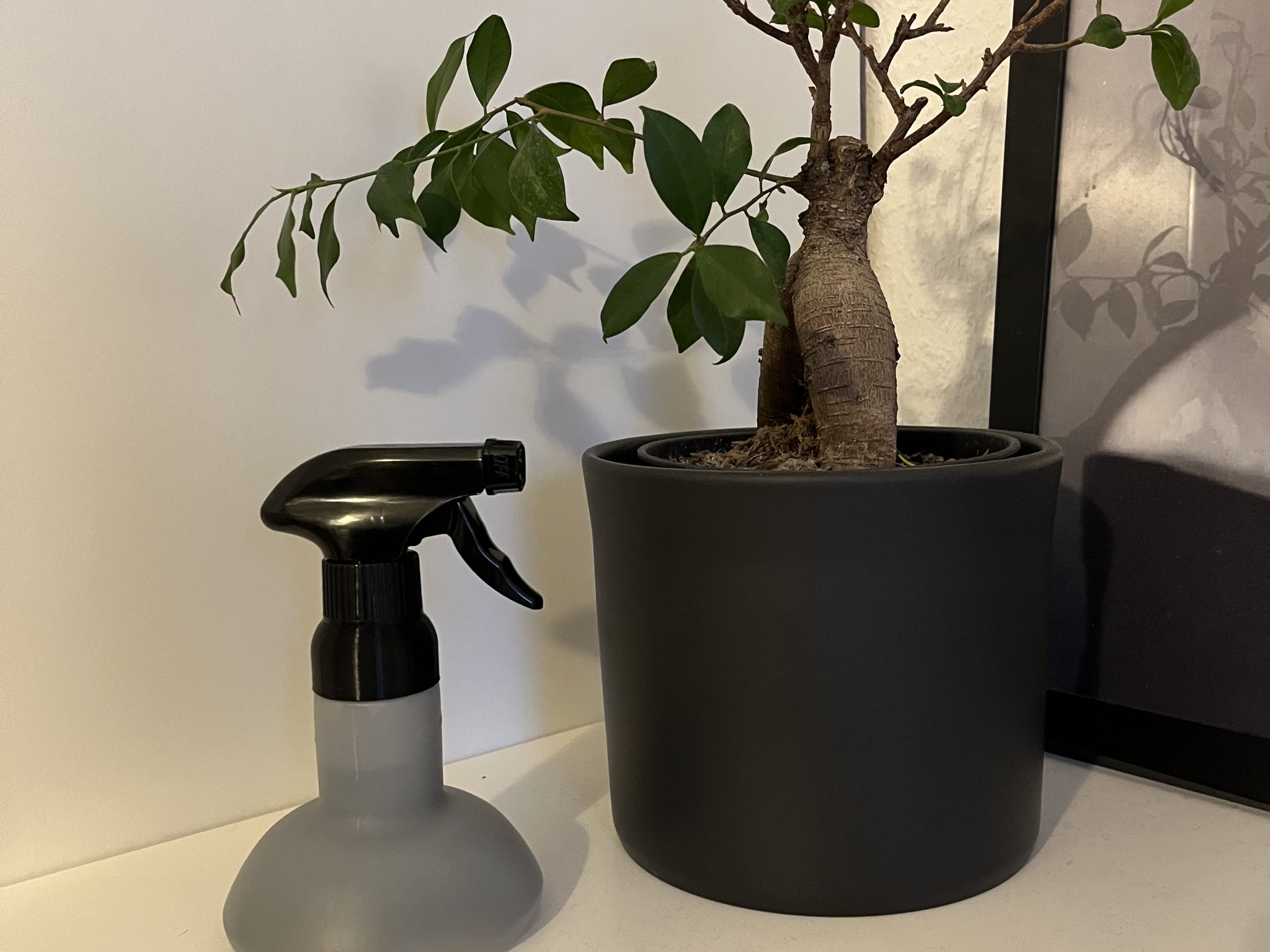 Tiêu đề Bộ chuyển đổi máy lau cửa sổ Kärcher WV1 Tóm tắt B