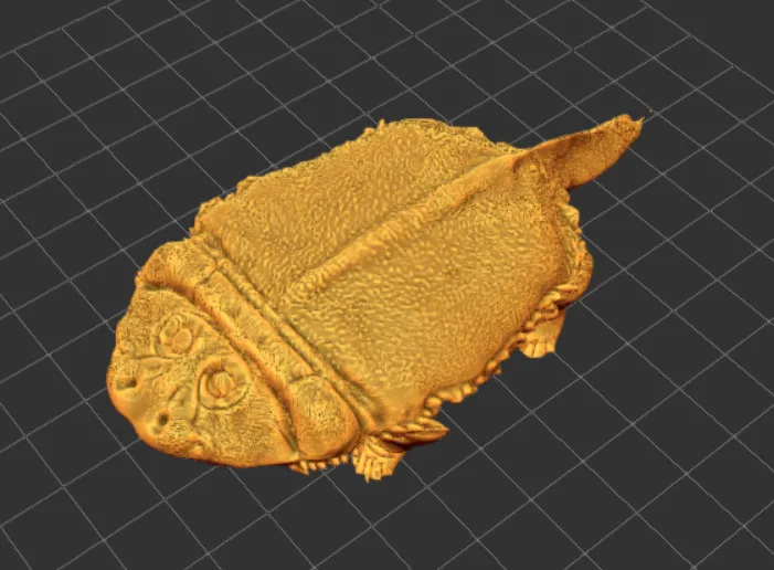 Tiêu đề Gerrothorax Tóm tắt Temnospondyl kỳ lạ từ Châu Âu DA