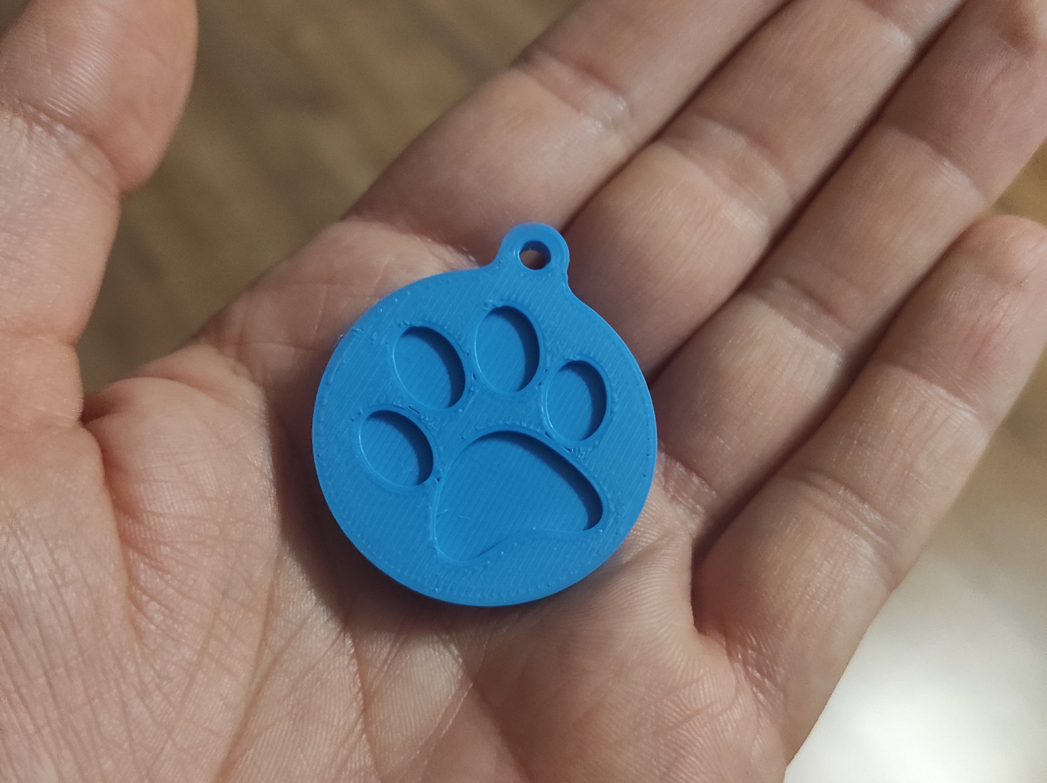 Tiêu đề Paw Print Key Fob Tóm tắt Chìa khóa điện tử đơn giả