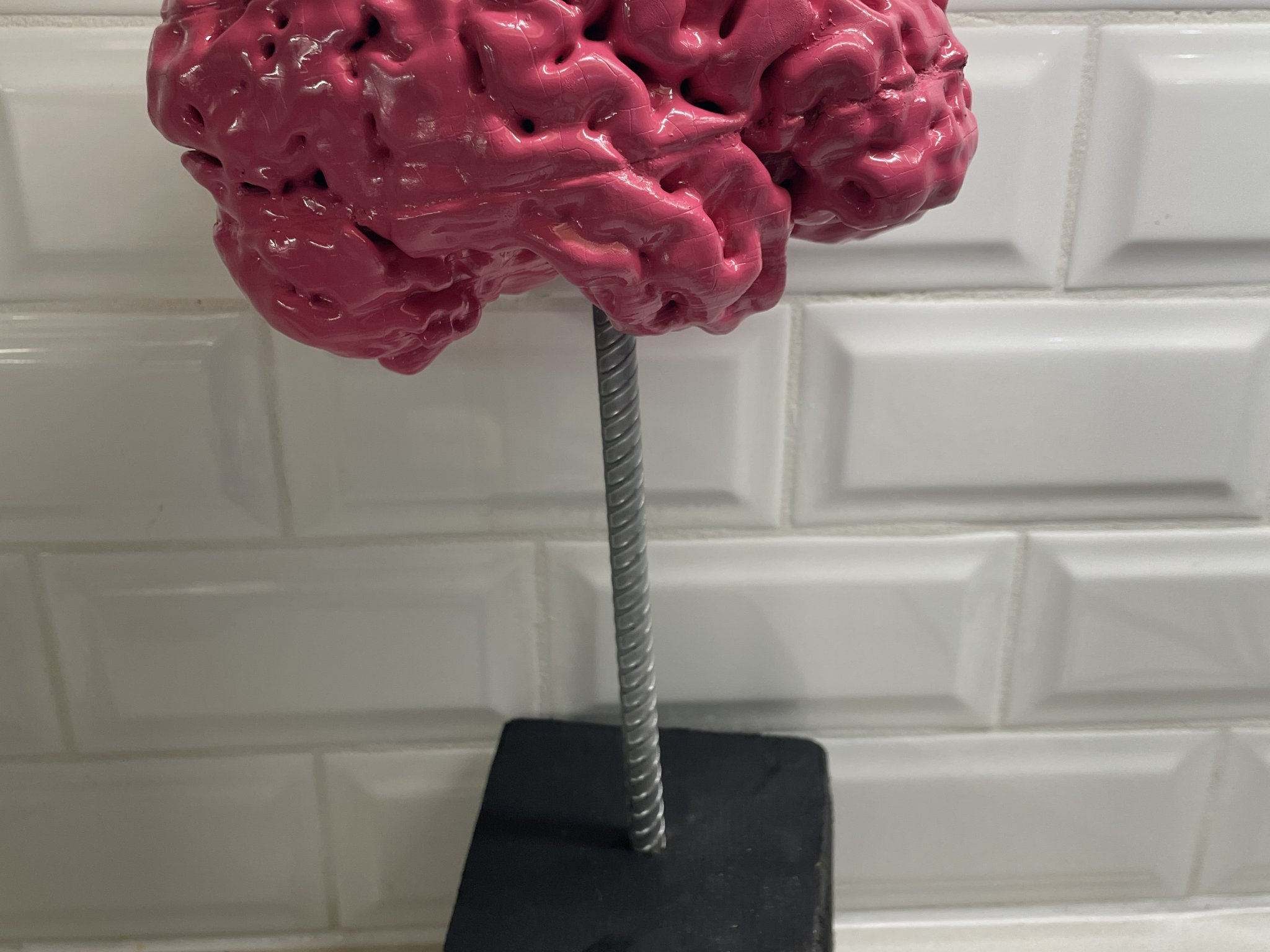 Anatomically Correct Human Brain From MRI Scan