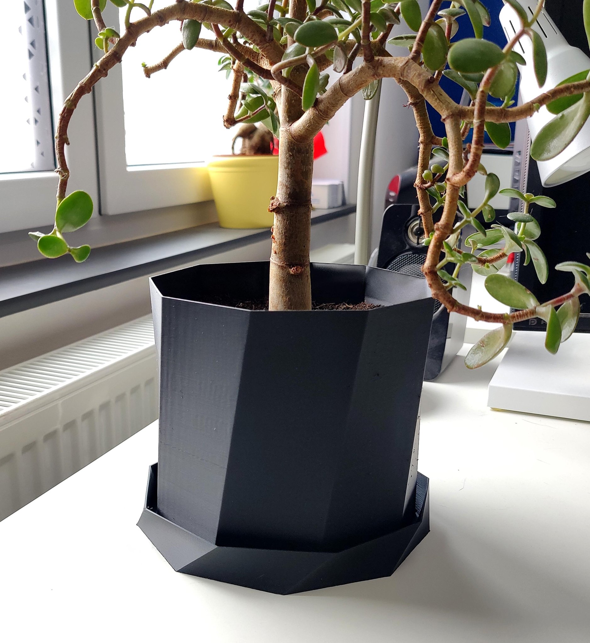 Big 18cm Ø plant pot - fast print
