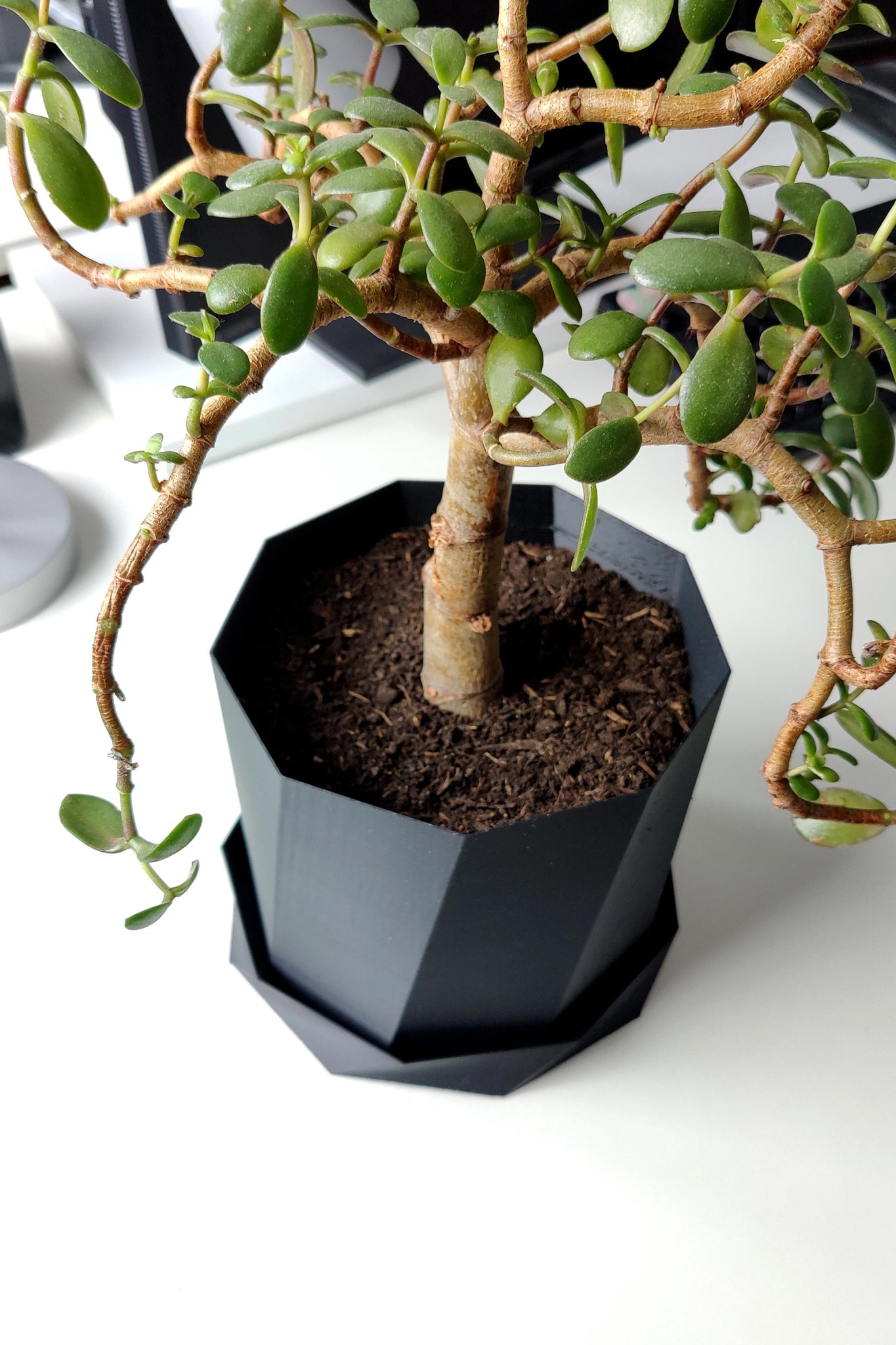 Big 18cm Ø plant pot - fast print