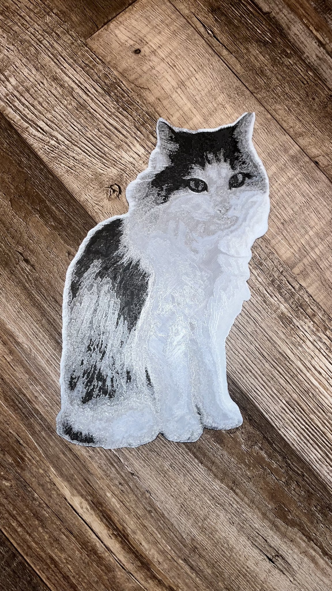 Mèo Đen Trắng (In Đa Sắc Màu) / Mèo Đen Trắng Hueforge