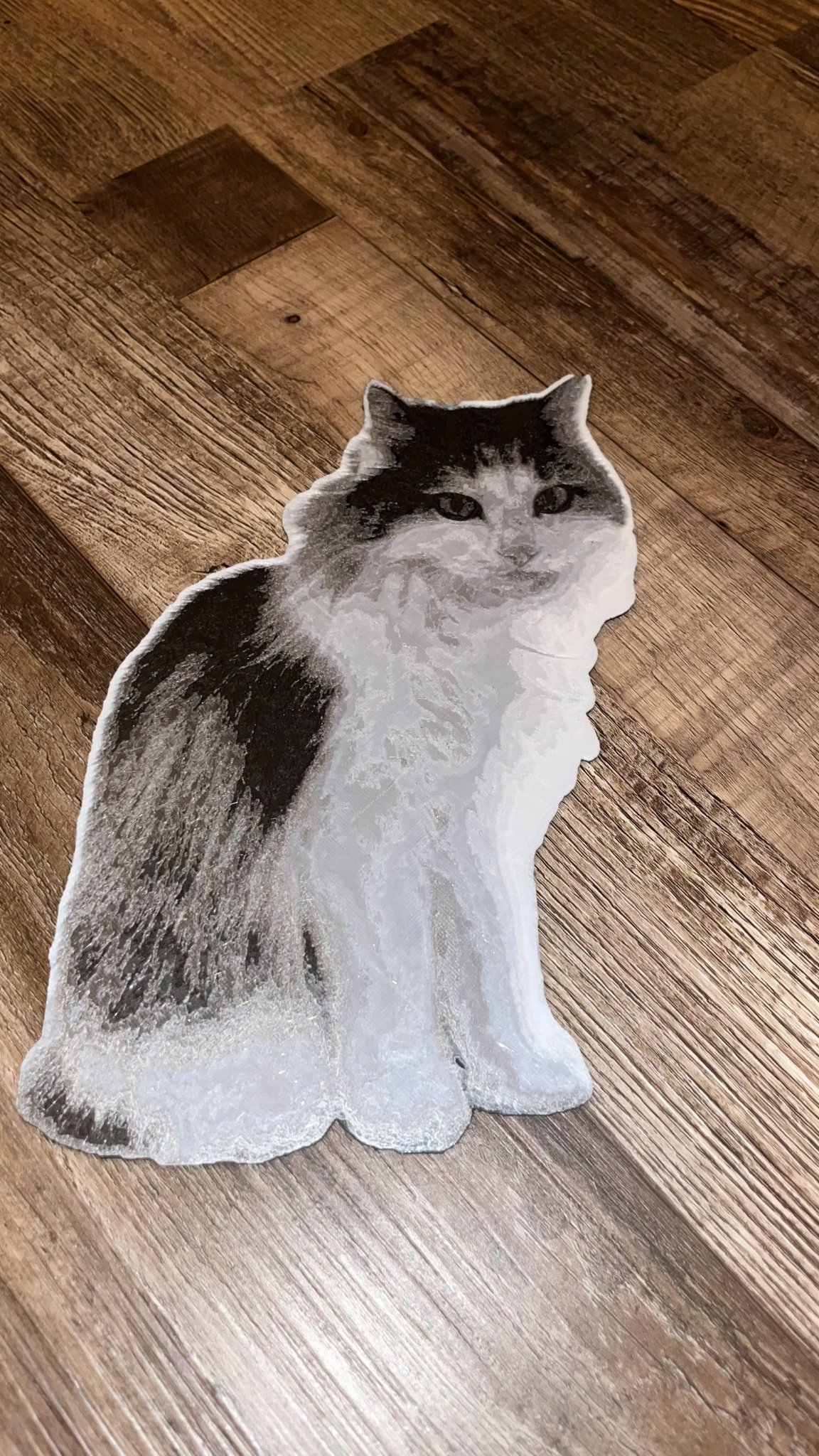 Mèo Đen Trắng (In Đa Sắc Màu) / Mèo Đen Trắng Hueforge