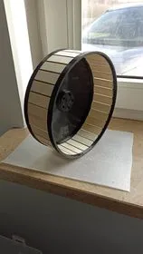 Tiêu đề bánh xe hamster Tóm tắt Bánh xe quay dành cho loài gặm nh