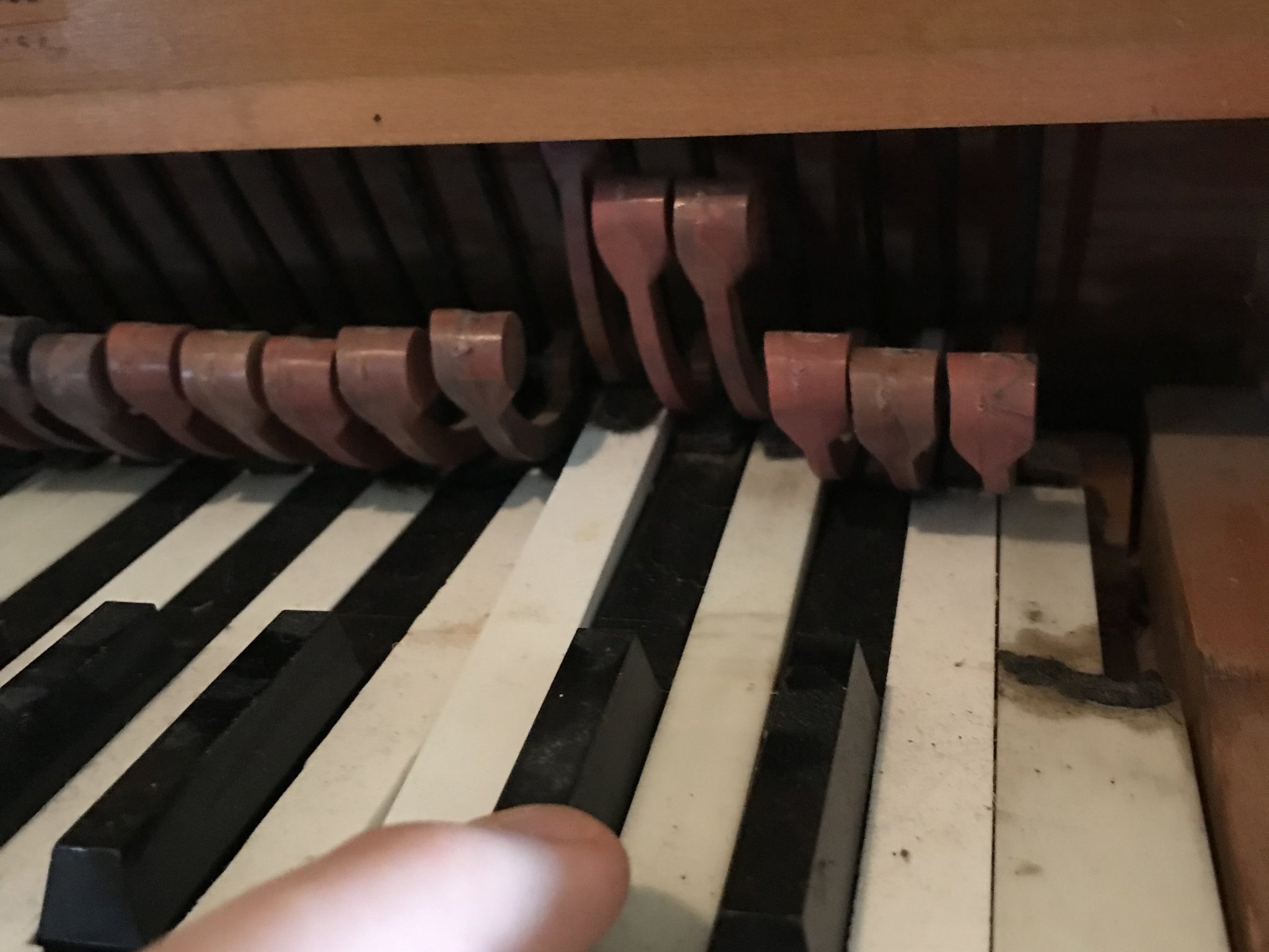 Phím Đàn Piano Đồ Chơi Thay Thế Cho Mello Ely Tone (Phím Đen Sắp Ra Mắt!)