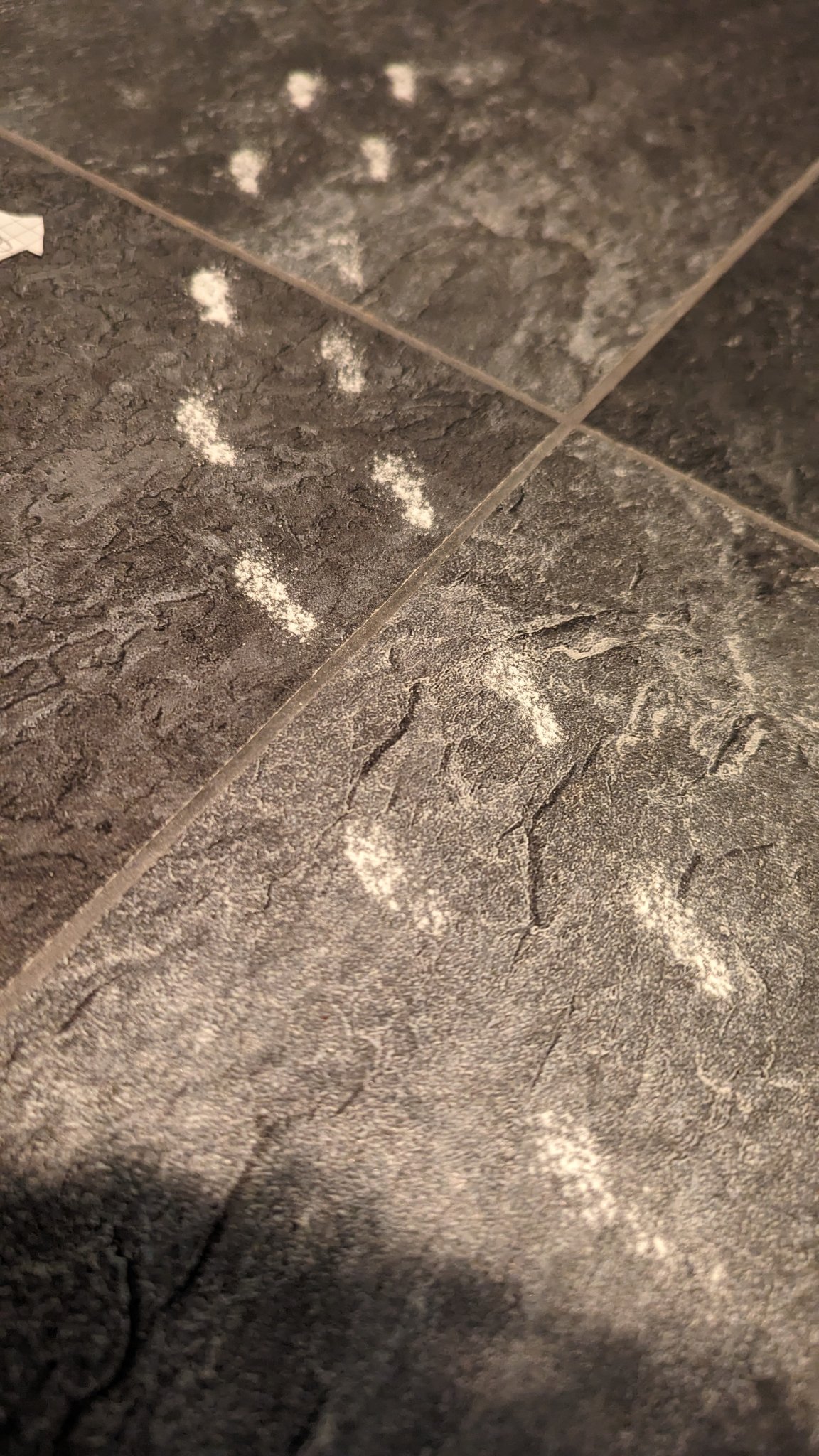 Tiêu đề Bút chì giày Gnome cho máy lắc muối Tóm tắt Một chú