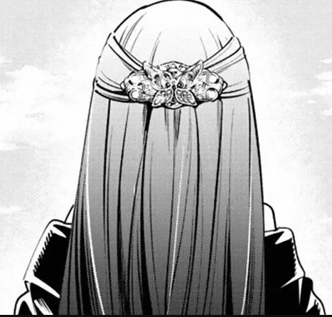 Tiêu đề Fern Butterfly Hair Piece -Sousou no Frieren Frieren Beyond Journ