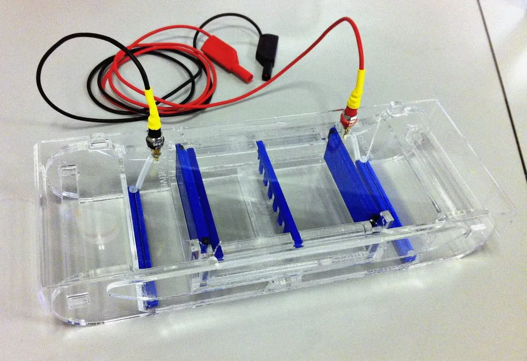Parametric gel electrophoresis system