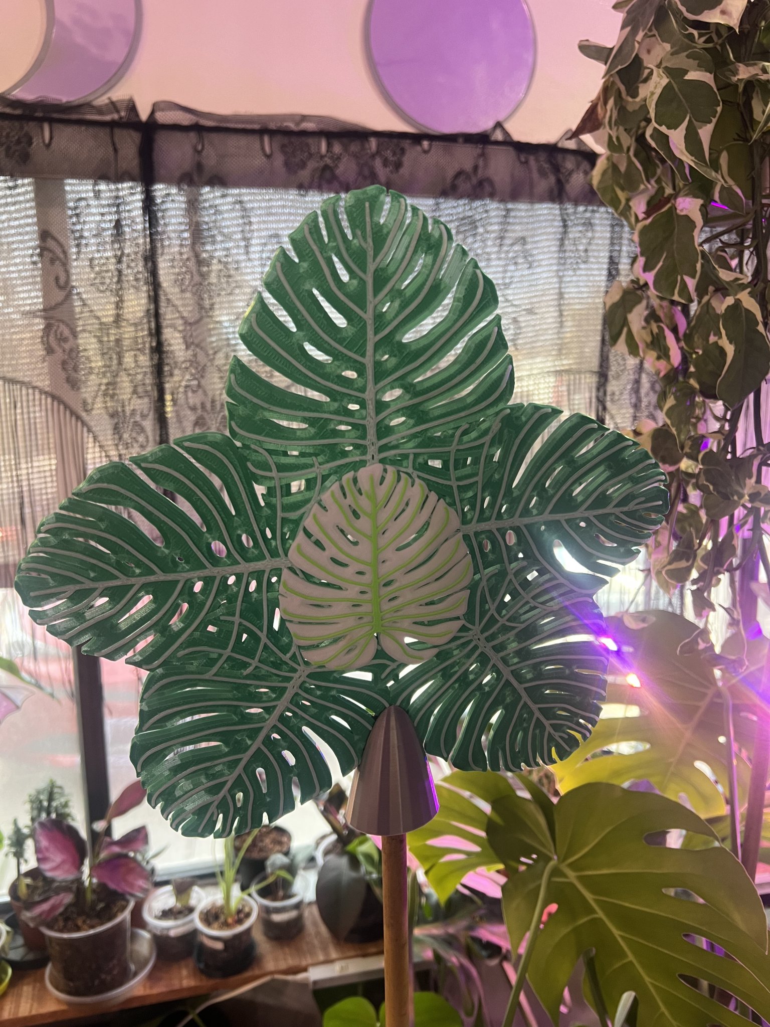 MonSTARa Tree Topper